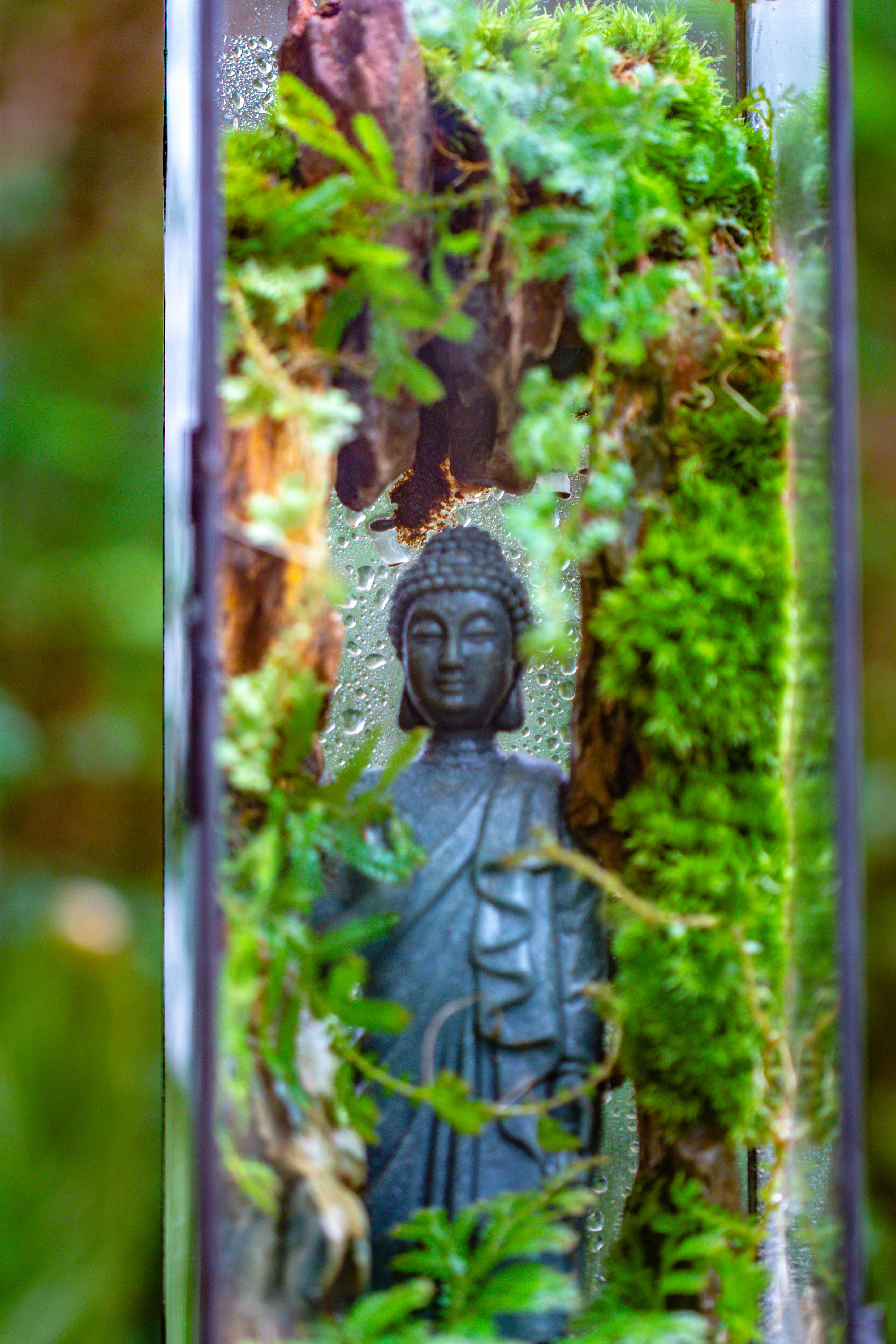 NCYP Close 11.8" Tall Geometric Glass Terrarium with Door DIY set, with Buddha, Dragon rocks, Planting Materials - NCYPgarden