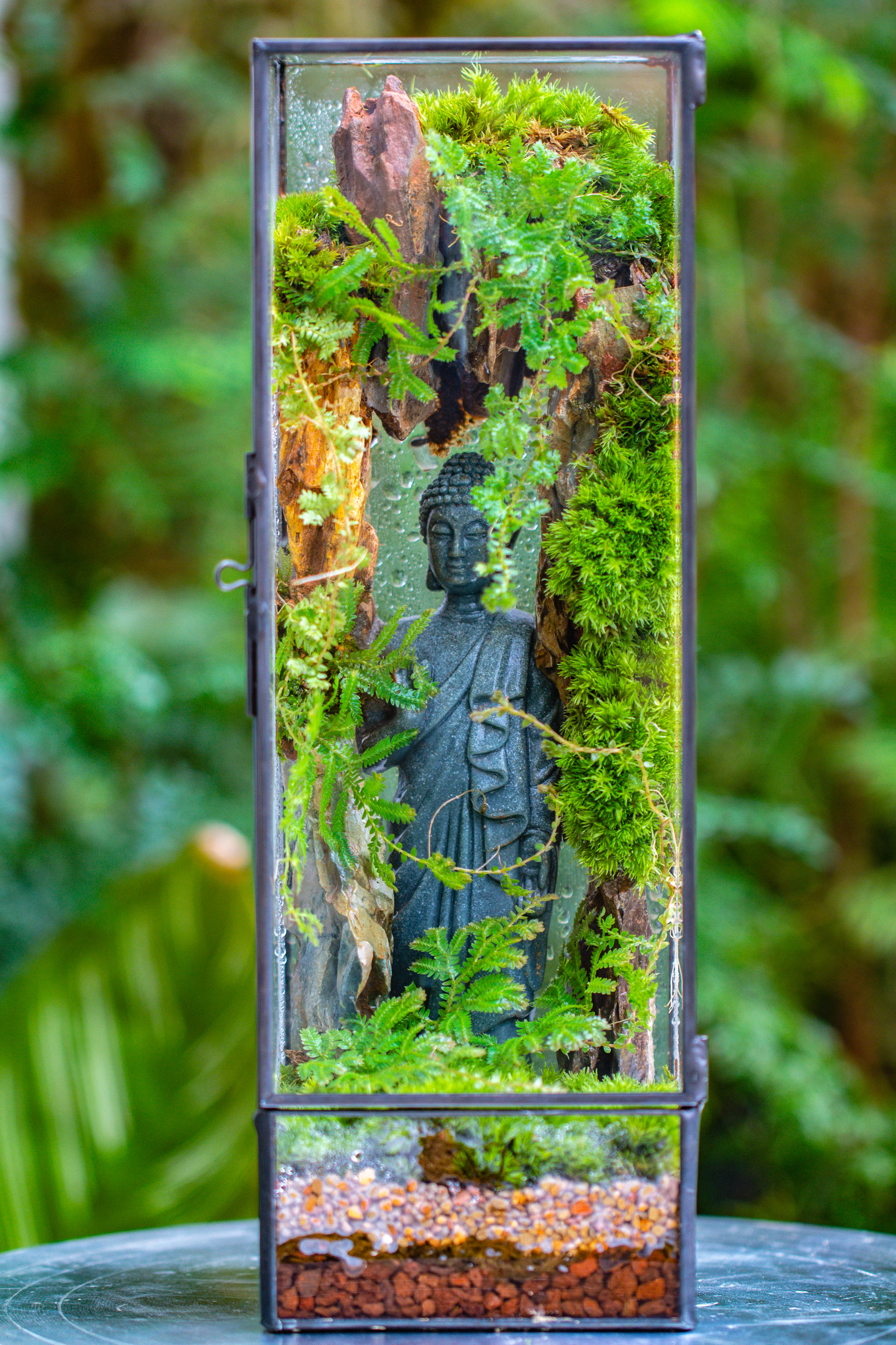 NCYP Close 11.8" Tall Geometric Glass Terrarium with Door DIY set, with Buddha, Dragon rocks, Planting Materials - NCYPgarden