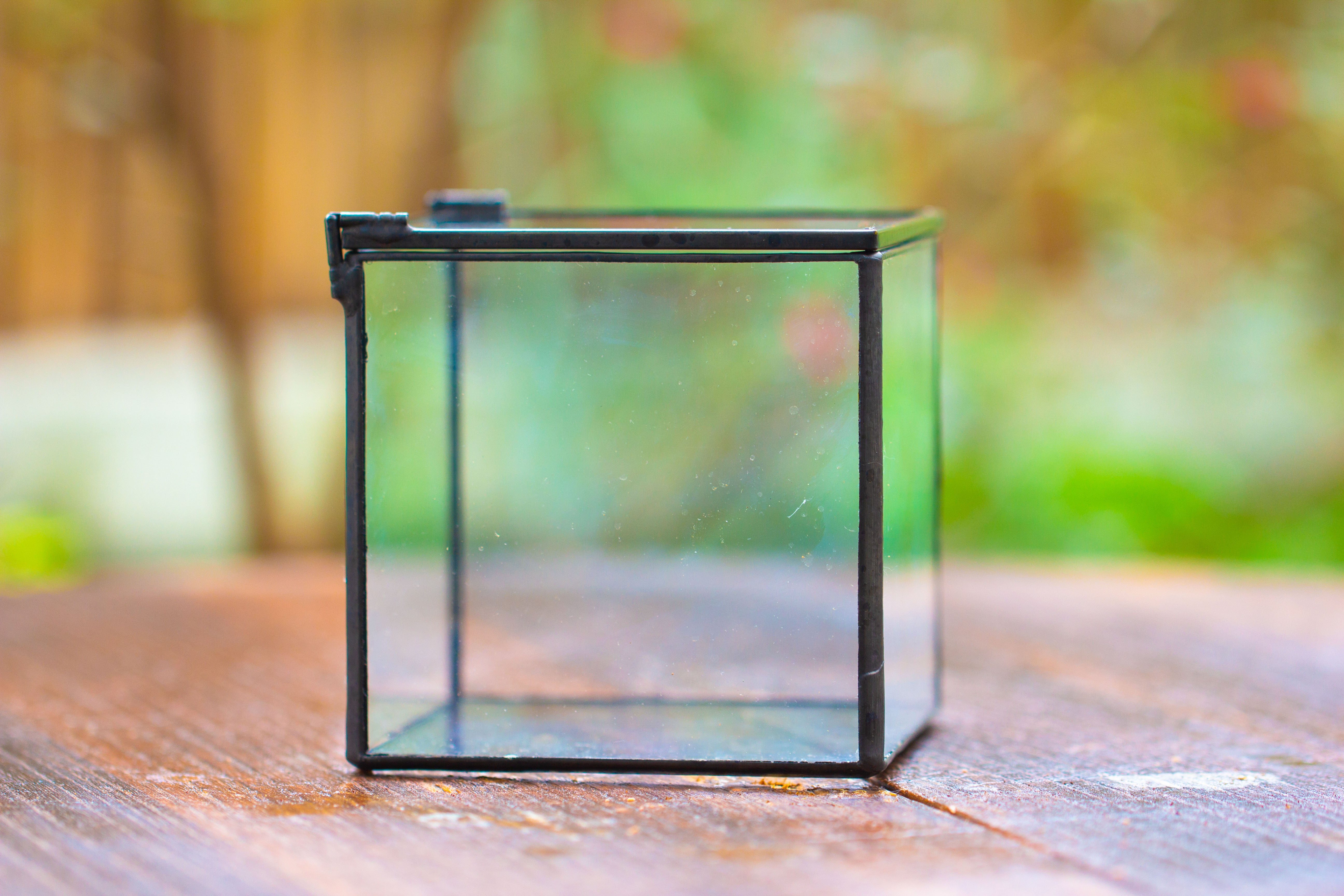 Cube Mini 4 inches Moss Geometric Glass Terrarium DIY Set - NCYPgarden