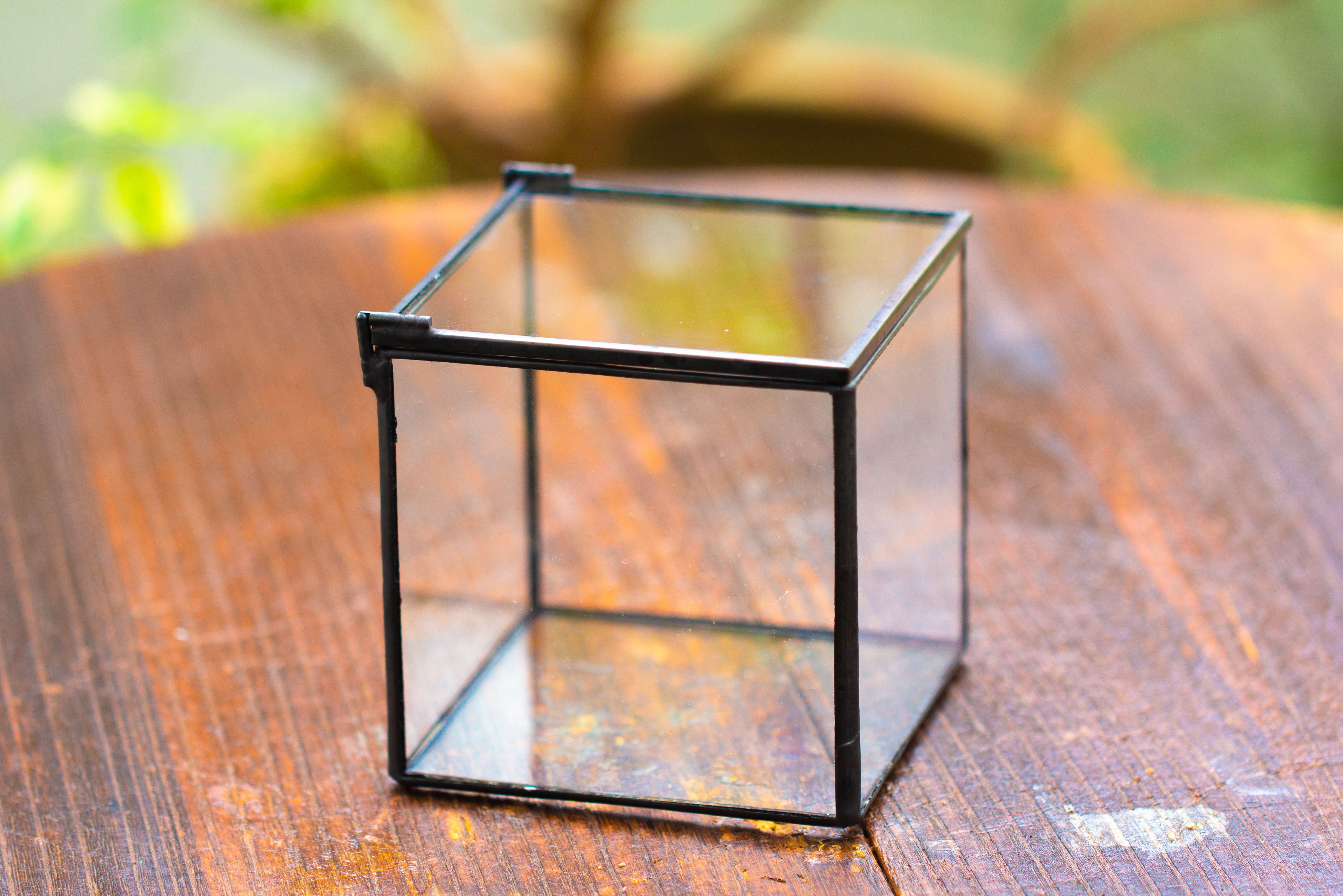 Cube Mini 4 inches Moss Geometric Glass Terrarium DIY Set - NCYPgarden