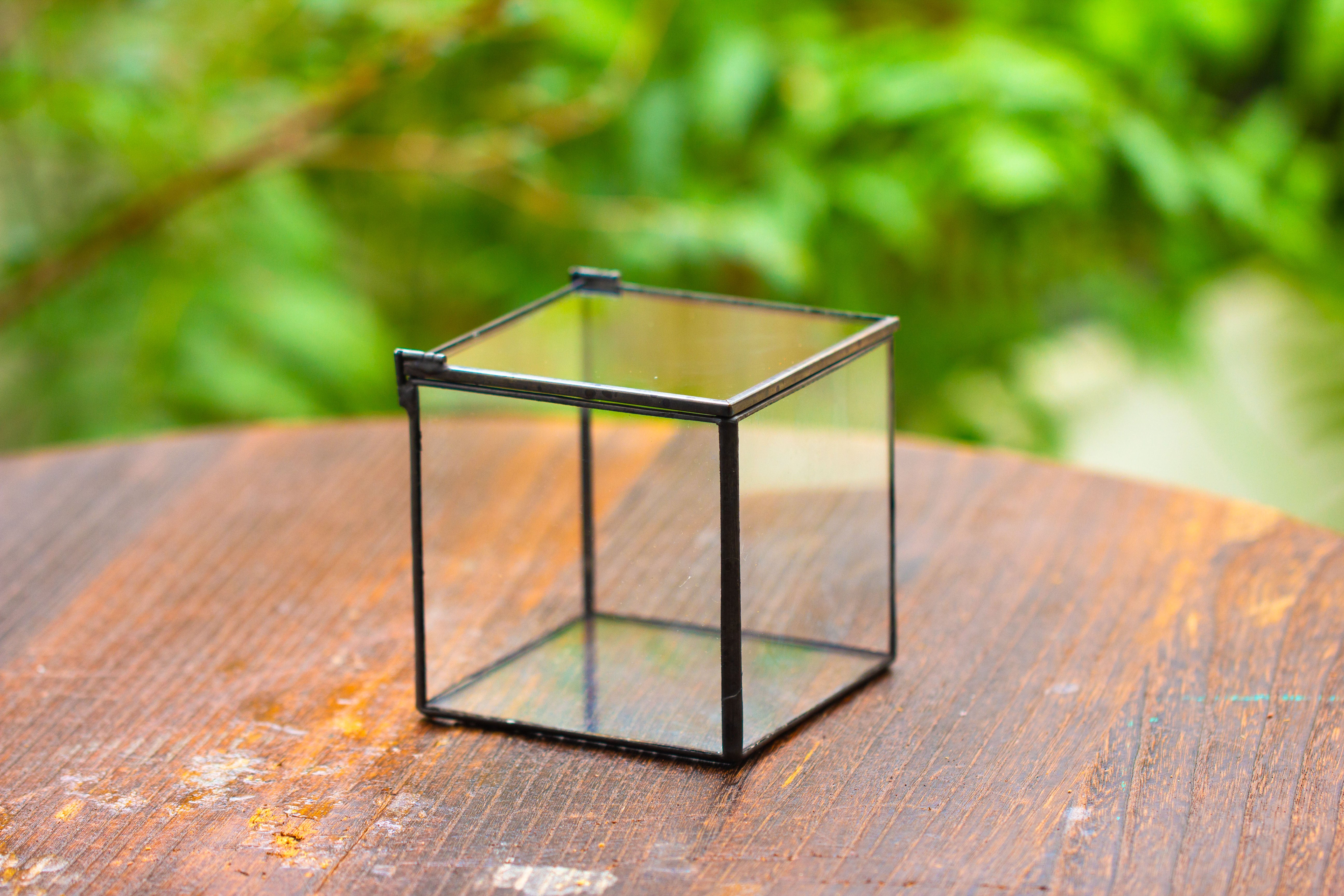 Cube Mini 4 inches Moss Geometric Glass Terrarium DIY Set - NCYPgarden
