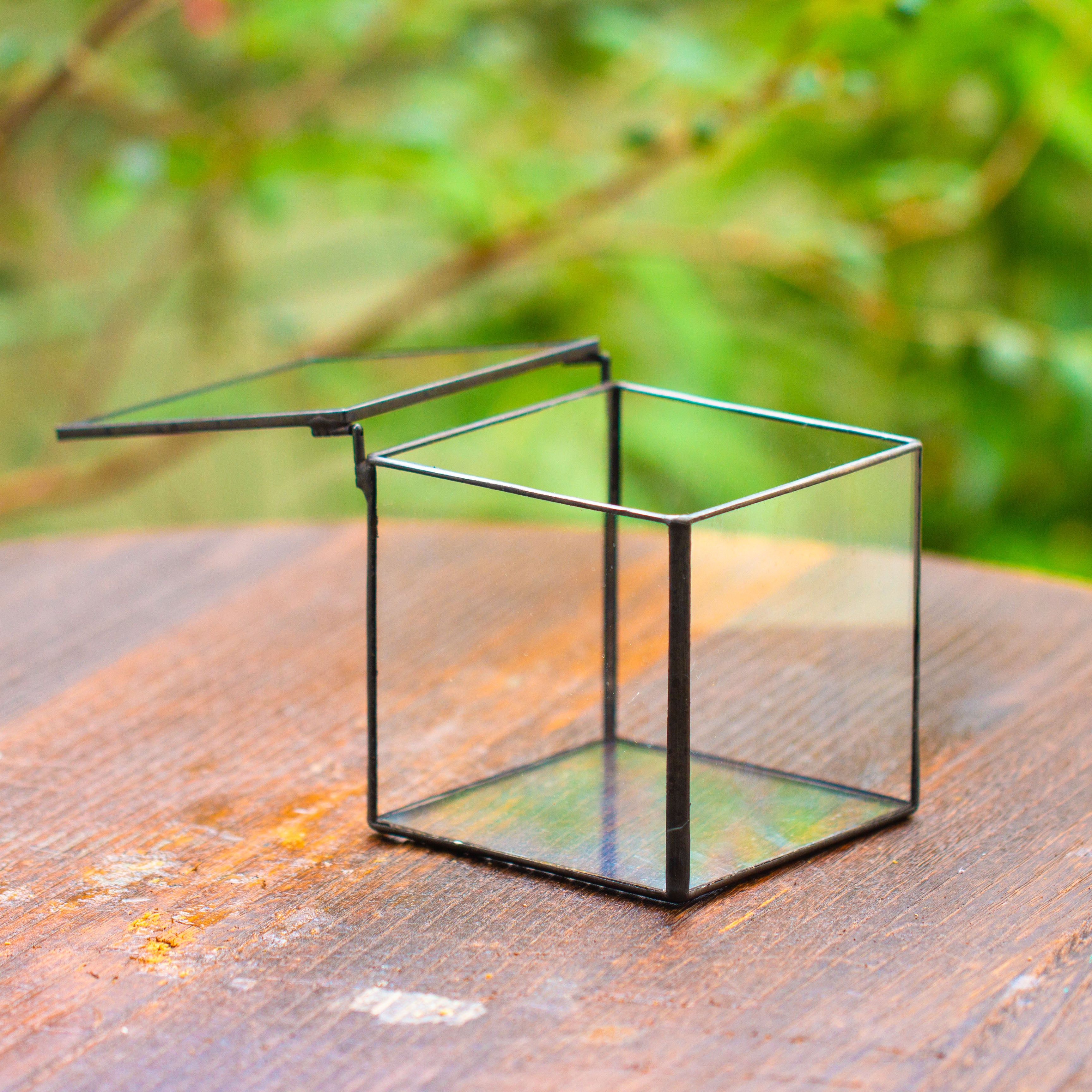 Cube Mini 4 inches Moss Geometric Glass Terrarium DIY Set - NCYPgarden