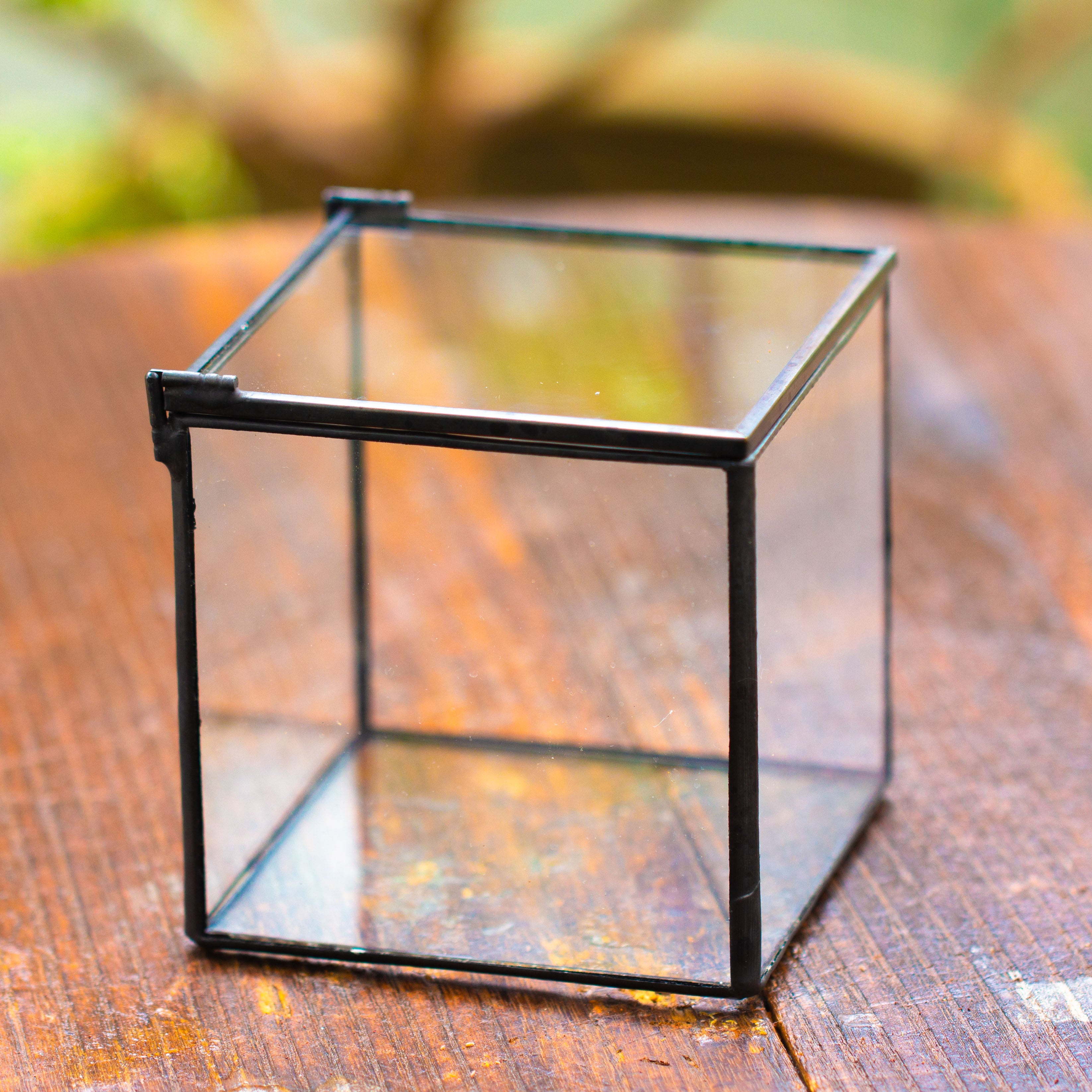 Cube Mini 4 inches Moss Geometric Glass Terrarium DIY Set - NCYPgarden