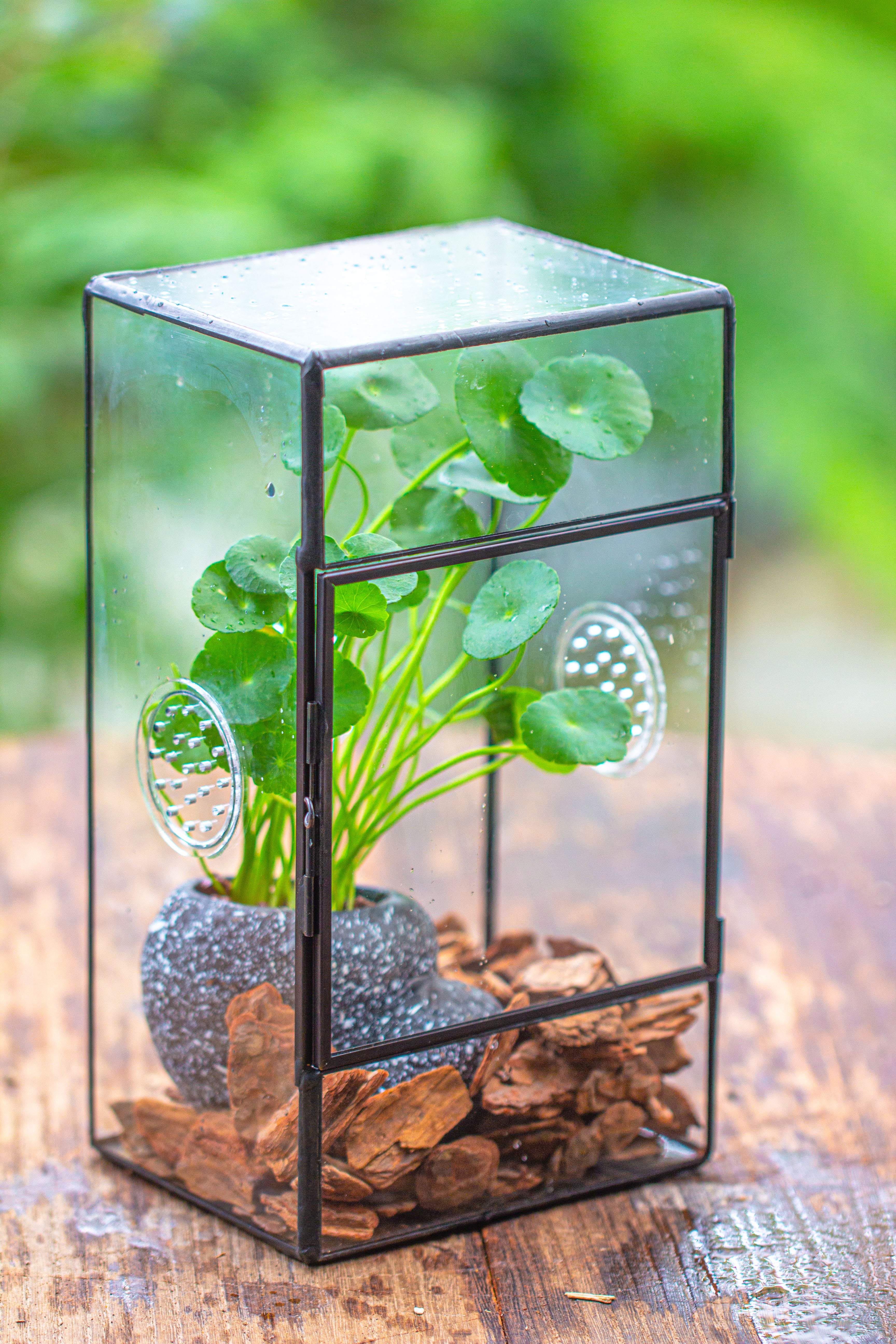 NCYP Rectangle Tin and Glass Geometric Terrarium,  with side door,  with Mesh  / vent holes for small Insects Pet - NCYPgarden