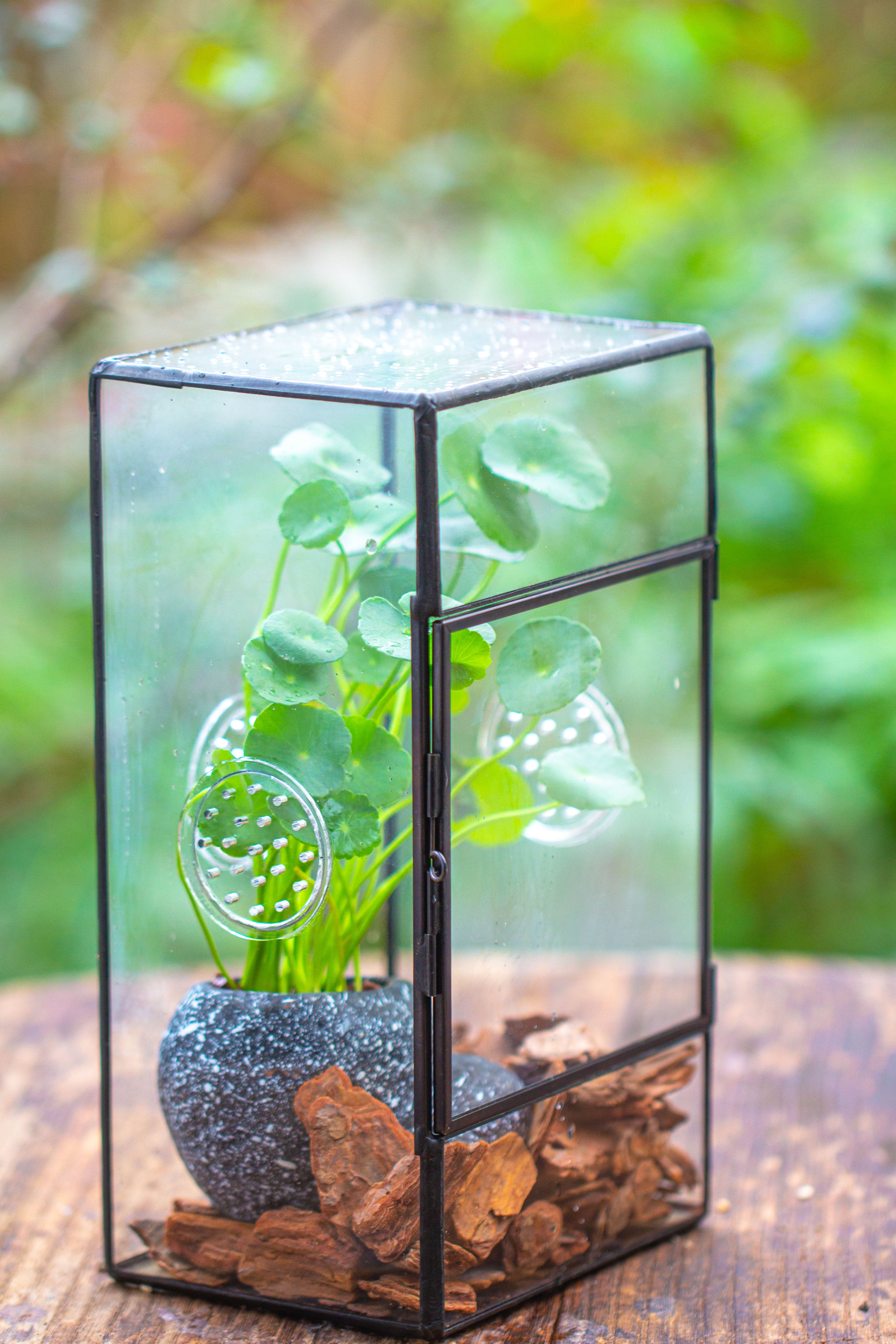 NCYP Rectangle Tin and Glass Geometric Terrarium,  with side door,  with Mesh  / vent holes for small Insects Pet - NCYPgarden