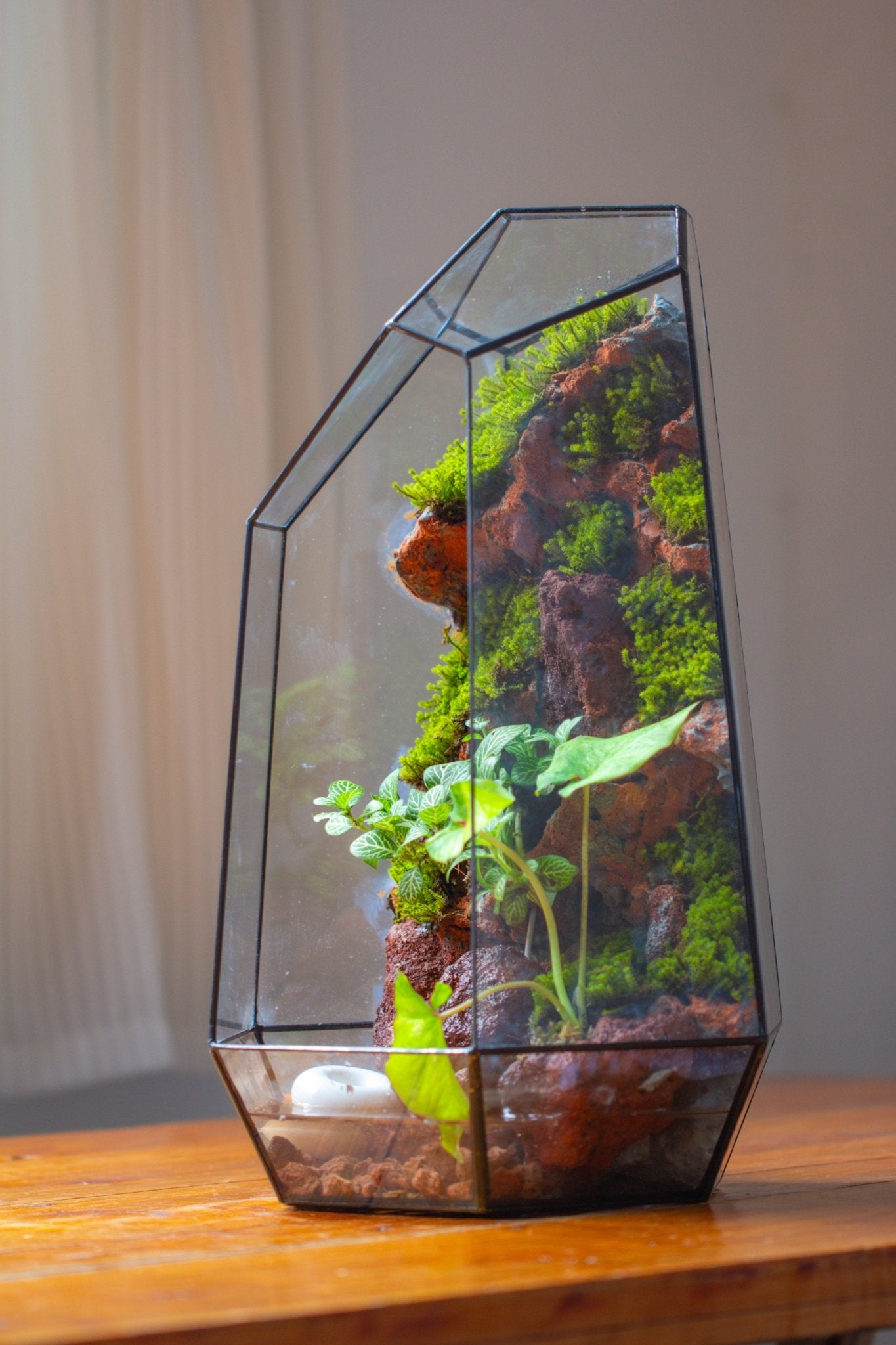 Handmade Extra Large Tall Irregular Glass Geometric Terrarium，Open, Waterproof, with Wire hole - NCYPgarden