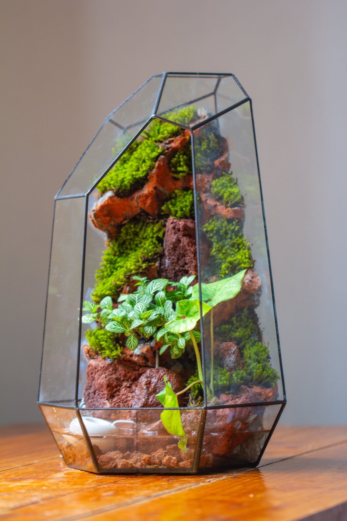 Handmade Extra Large Tall Irregular Glass Geometric Terrarium，Open, Waterproof, with Wire hole - NCYPgarden
