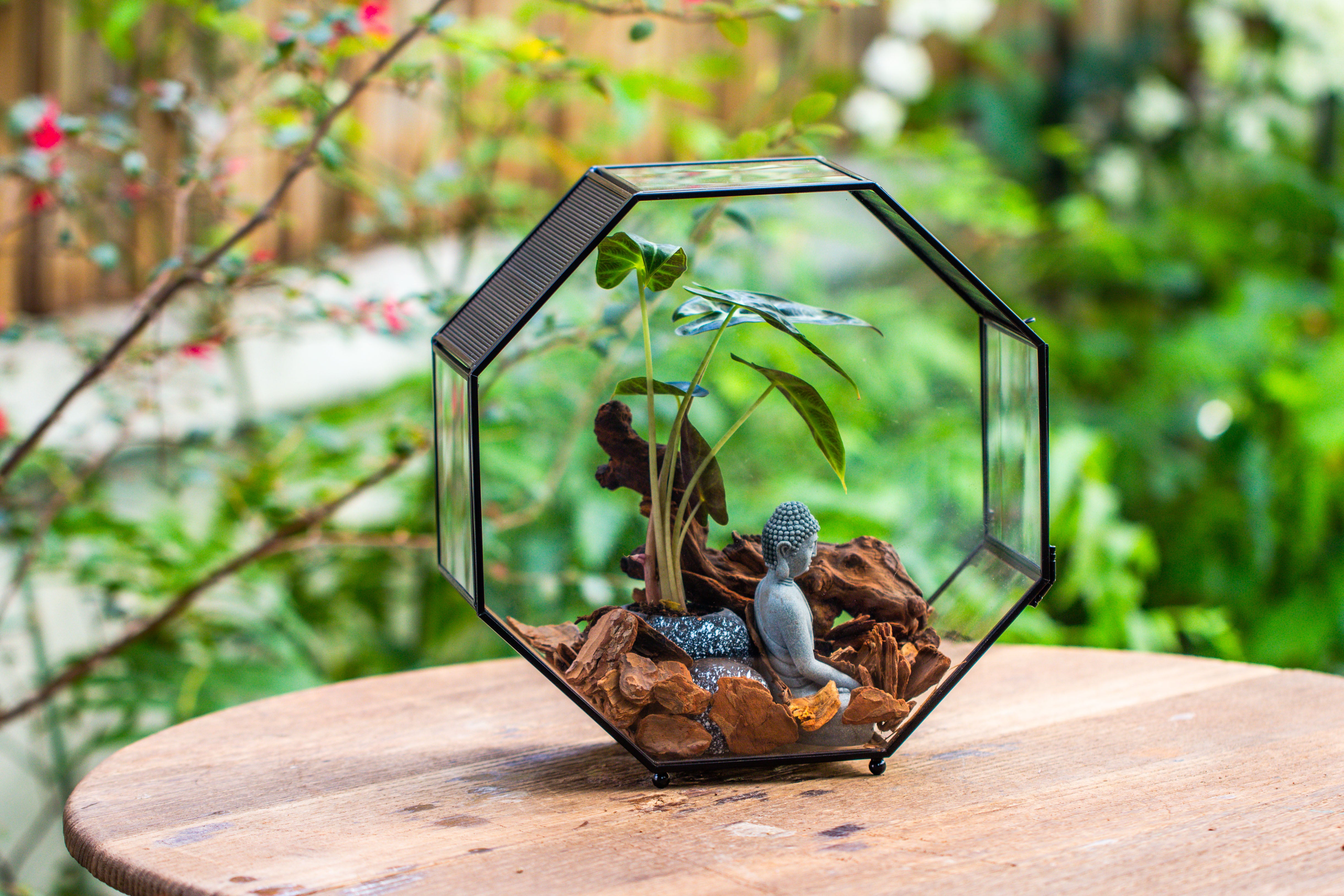 Handmade Octagon Glass Geometric Terrarium with Side Vent, Spider Terrarium, Jumping Spider/Snail Terrarium, Jumping Spider Enclosure - NCYPgarden