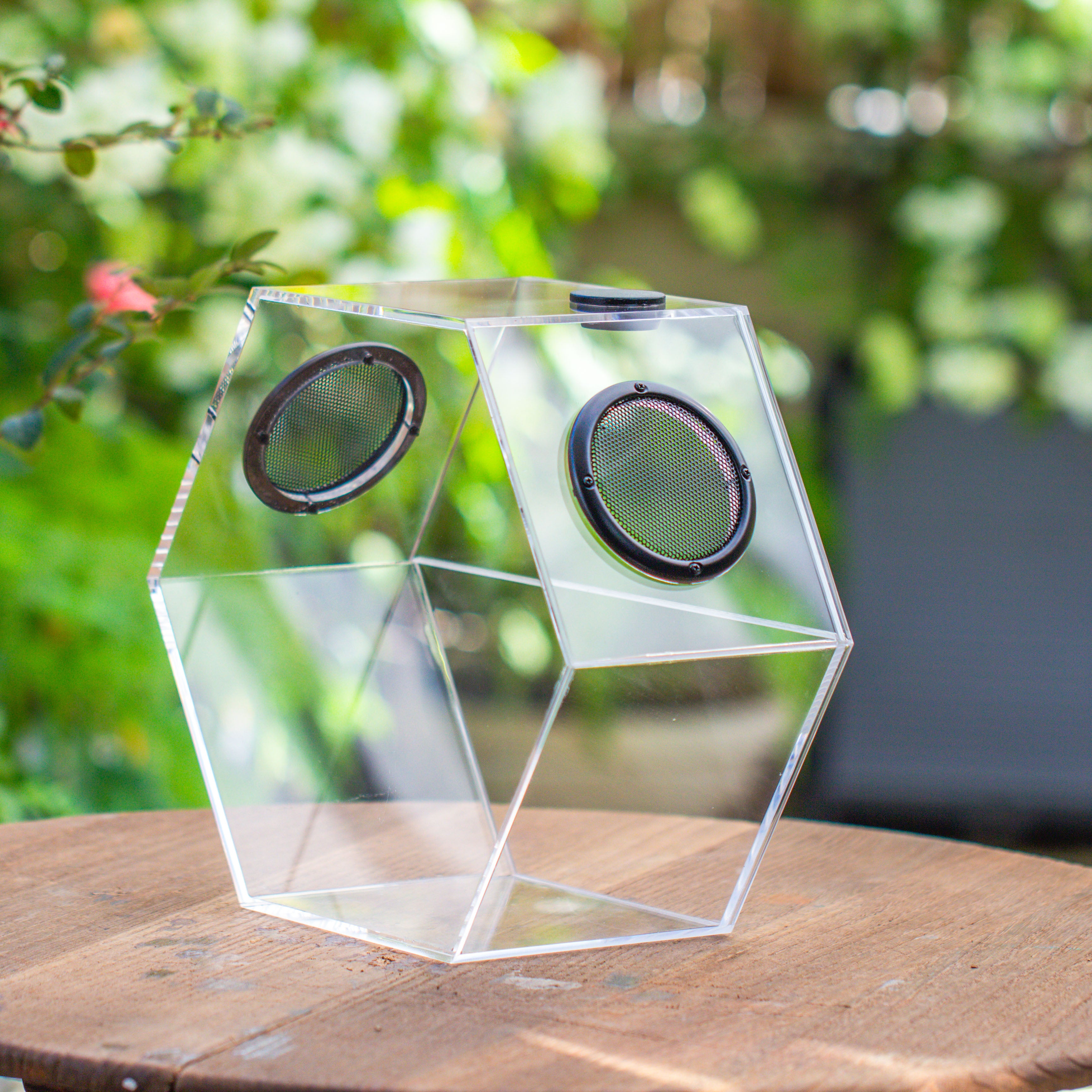 Handmade Extra Large Acrylic Hexagon Watertight Enclosure Terrarium with Mesh Vents, Feed Hole for Insects, Vivarium, Enclosure Only - NCYPgarden