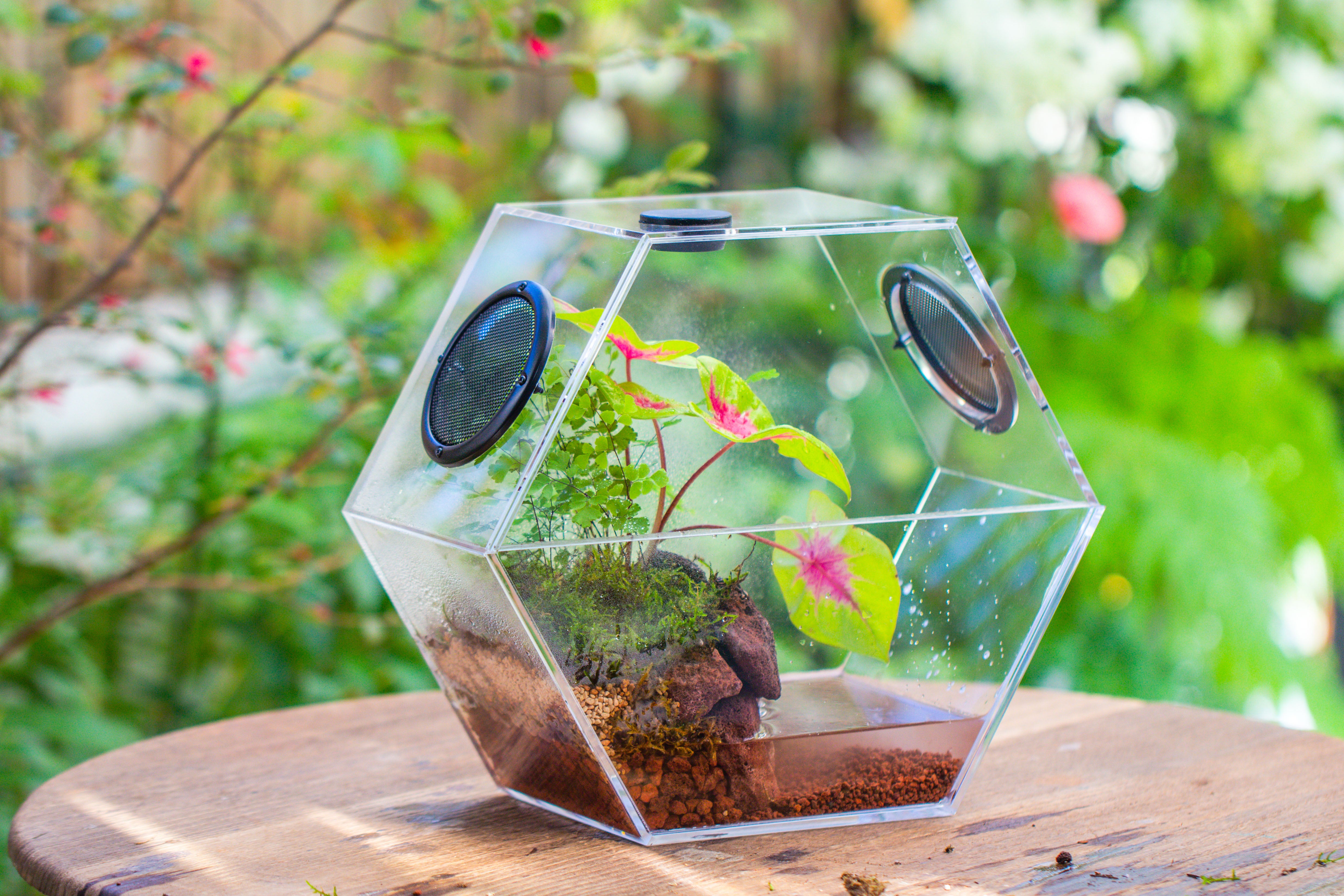 Handmade Extra Large Acrylic Hexagon Watertight Enclosure Terrarium with Mesh Vents, Feed Hole for Insects, Vivarium, Enclosure Only - NCYPgarden