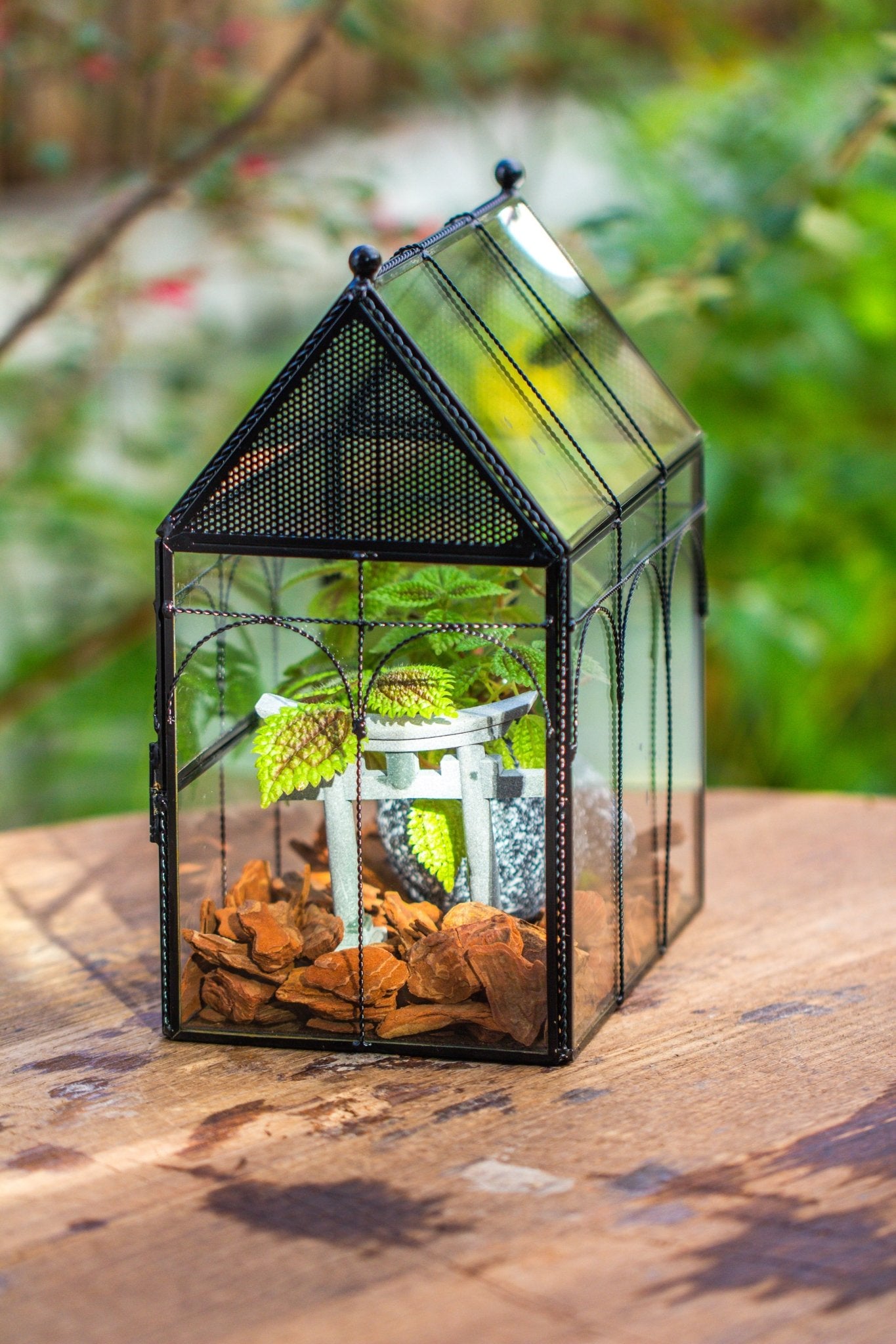 NCYP Vintage House Shape Glass Geometric Terrarium, with side door, with Mesh vent holes for small Insects Pet - NCYPgarden