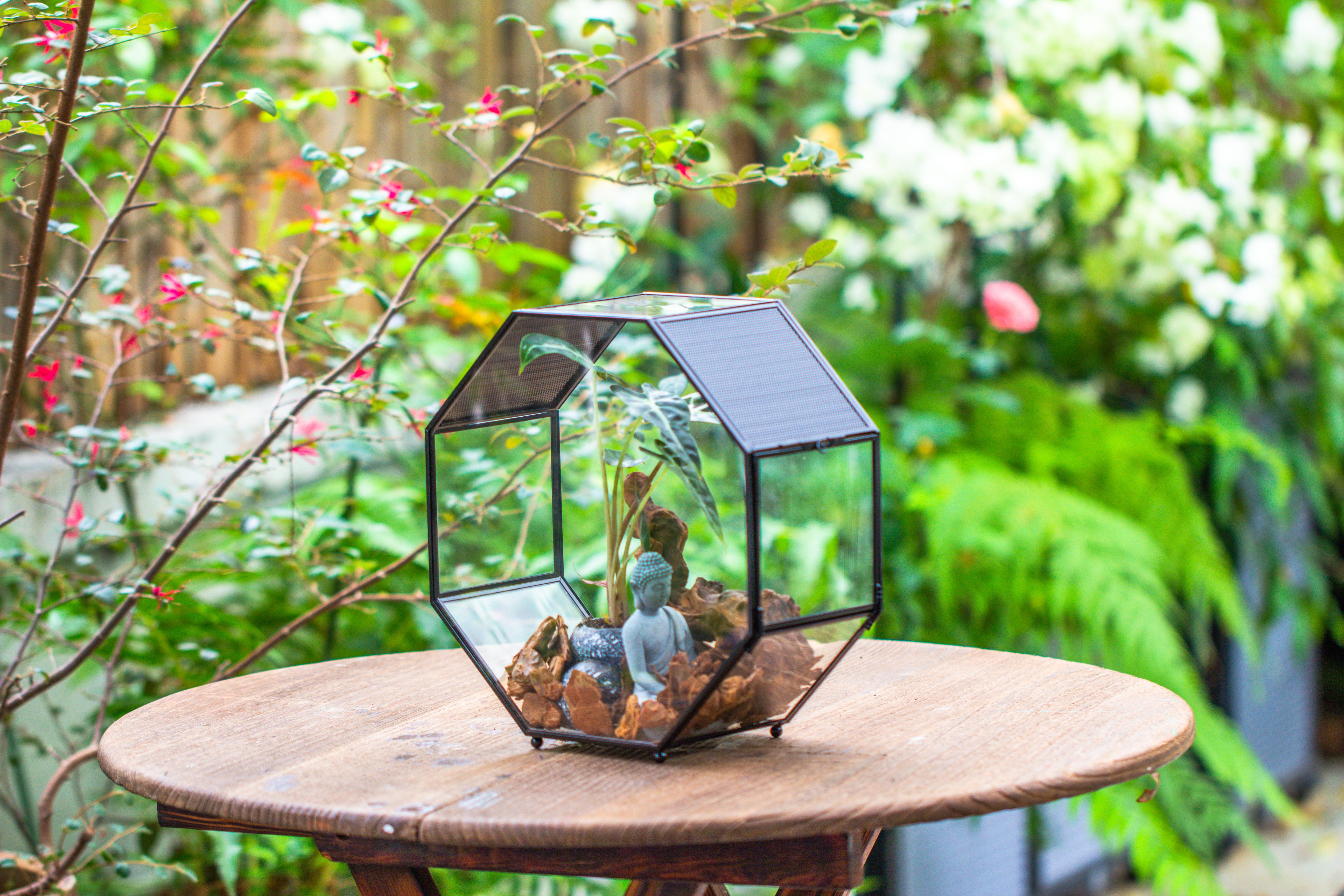 Handmade Octagon Glass Geometric Terrarium with Side Vent, Spider Terrarium, Jumping Spider/Snail Terrarium, Jumping Spider Enclosure - NCYPgarden