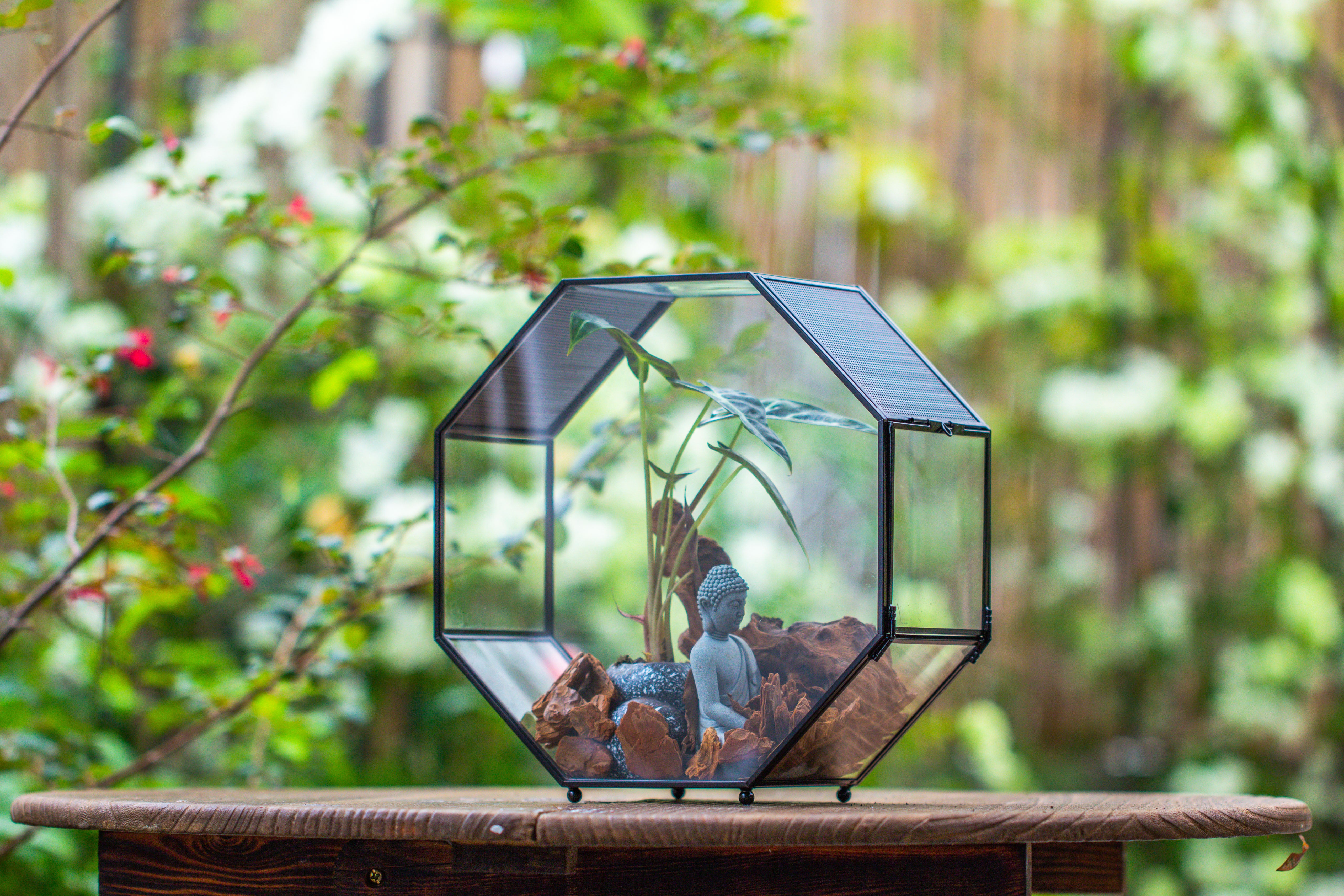 Handmade Octagon Glass Geometric Terrarium with Side Vent, Spider Terrarium, Jumping Spider/Snail Terrarium, Jumping Spider Enclosure - NCYPgarden