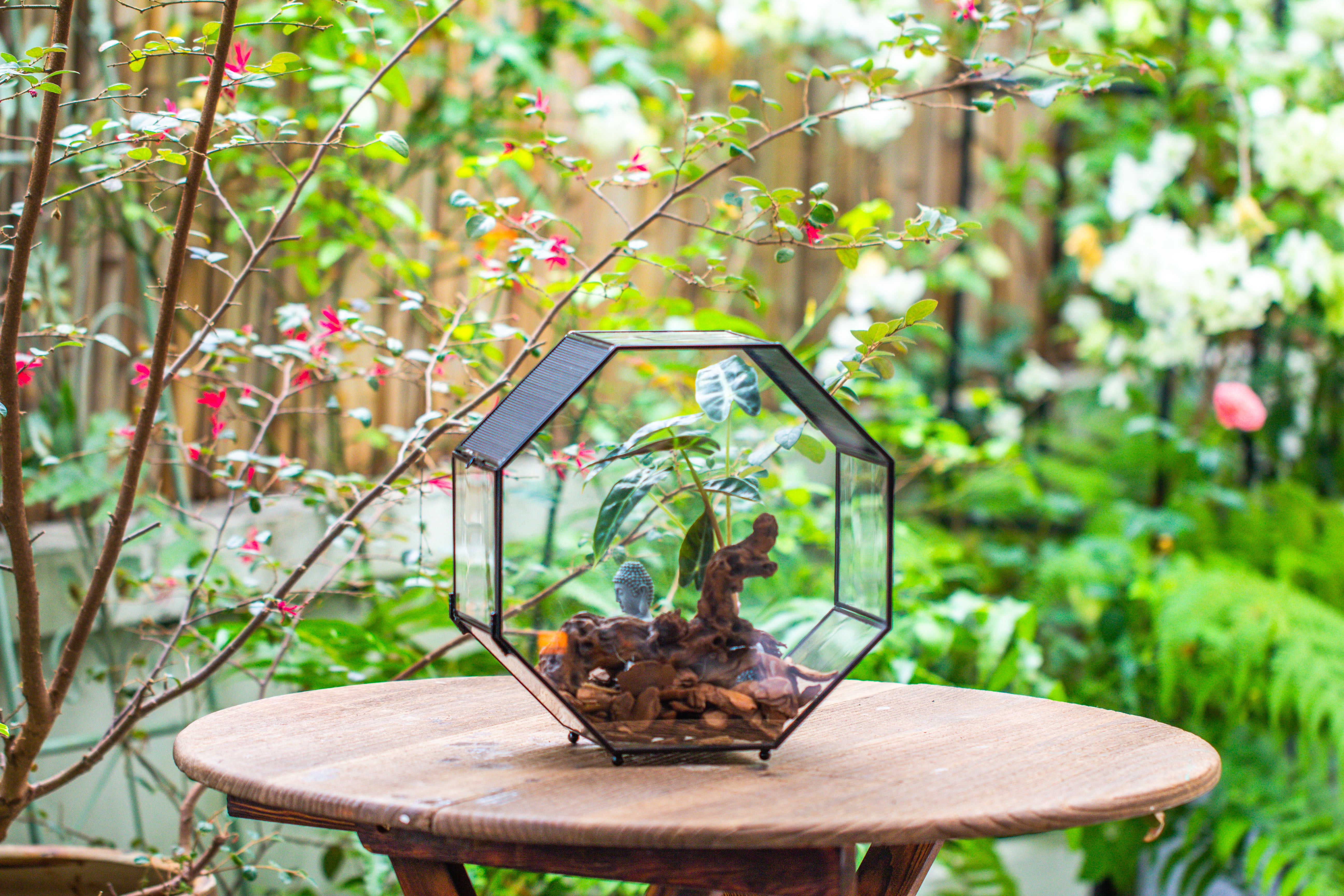 Handmade Octagon Glass Geometric Terrarium with Side Vent, Spider Terrarium, Jumping Spider/Snail Terrarium, Jumping Spider Enclosure - NCYPgarden