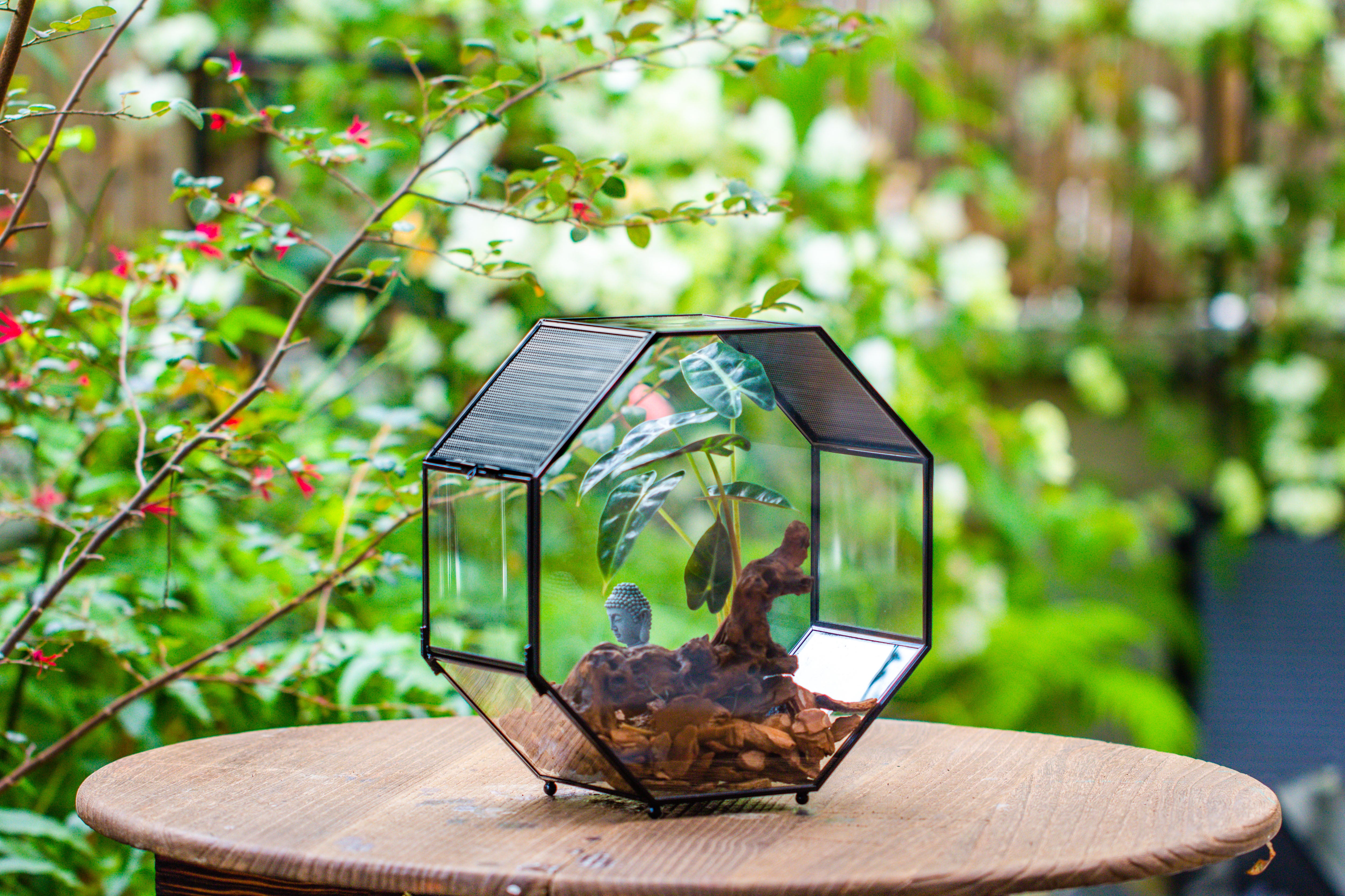 Handmade Octagon Glass Geometric Terrarium with Side Vent, Spider Terrarium, Jumping Spider/Snail Terrarium, Jumping Spider Enclosure - NCYPgarden