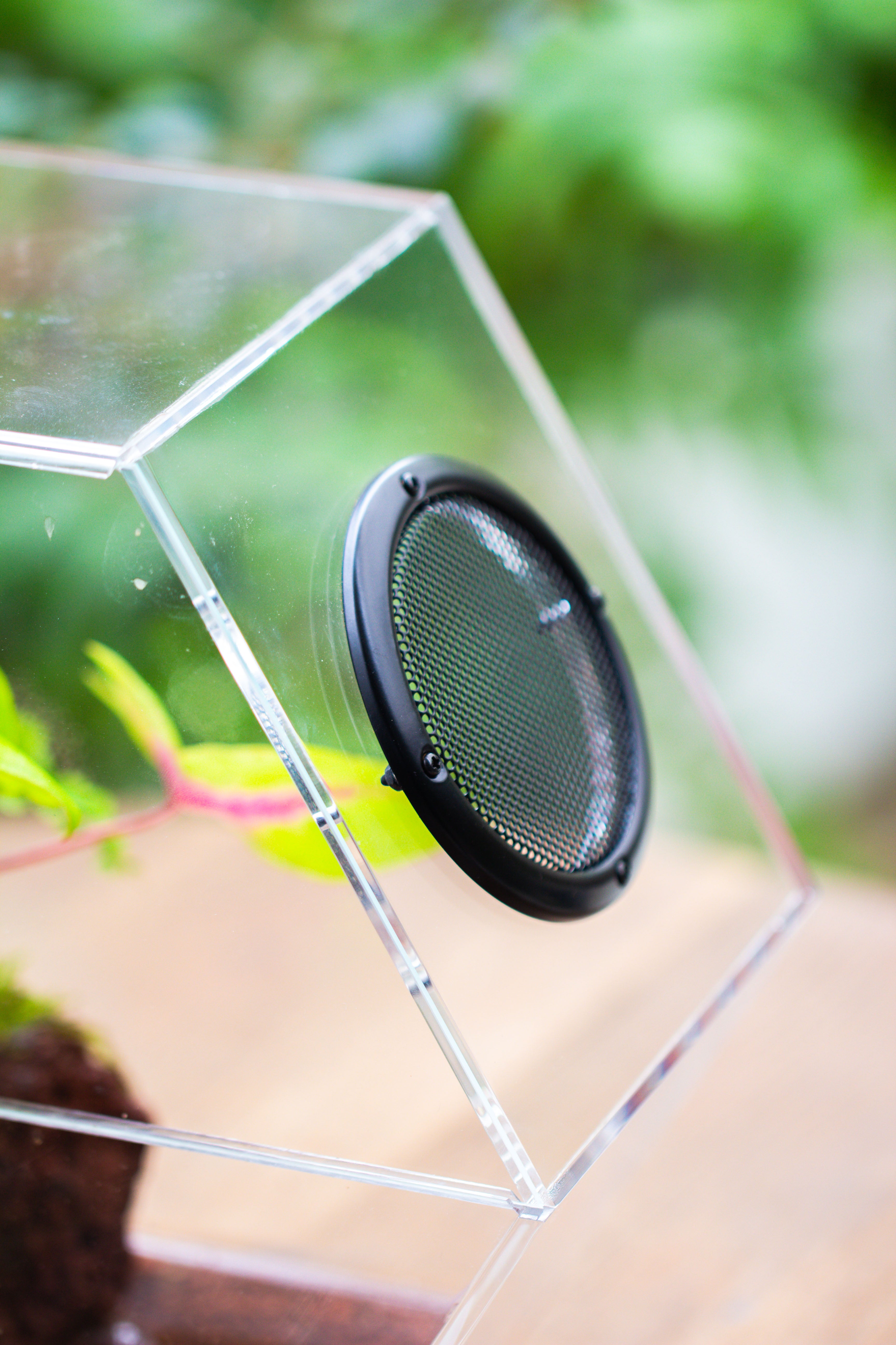 Handmade Extra Large Acrylic Hexagon Watertight Enclosure Terrarium with Mesh Vents, Feed Hole for Insects, Vivarium, Enclosure Only - NCYPgarden