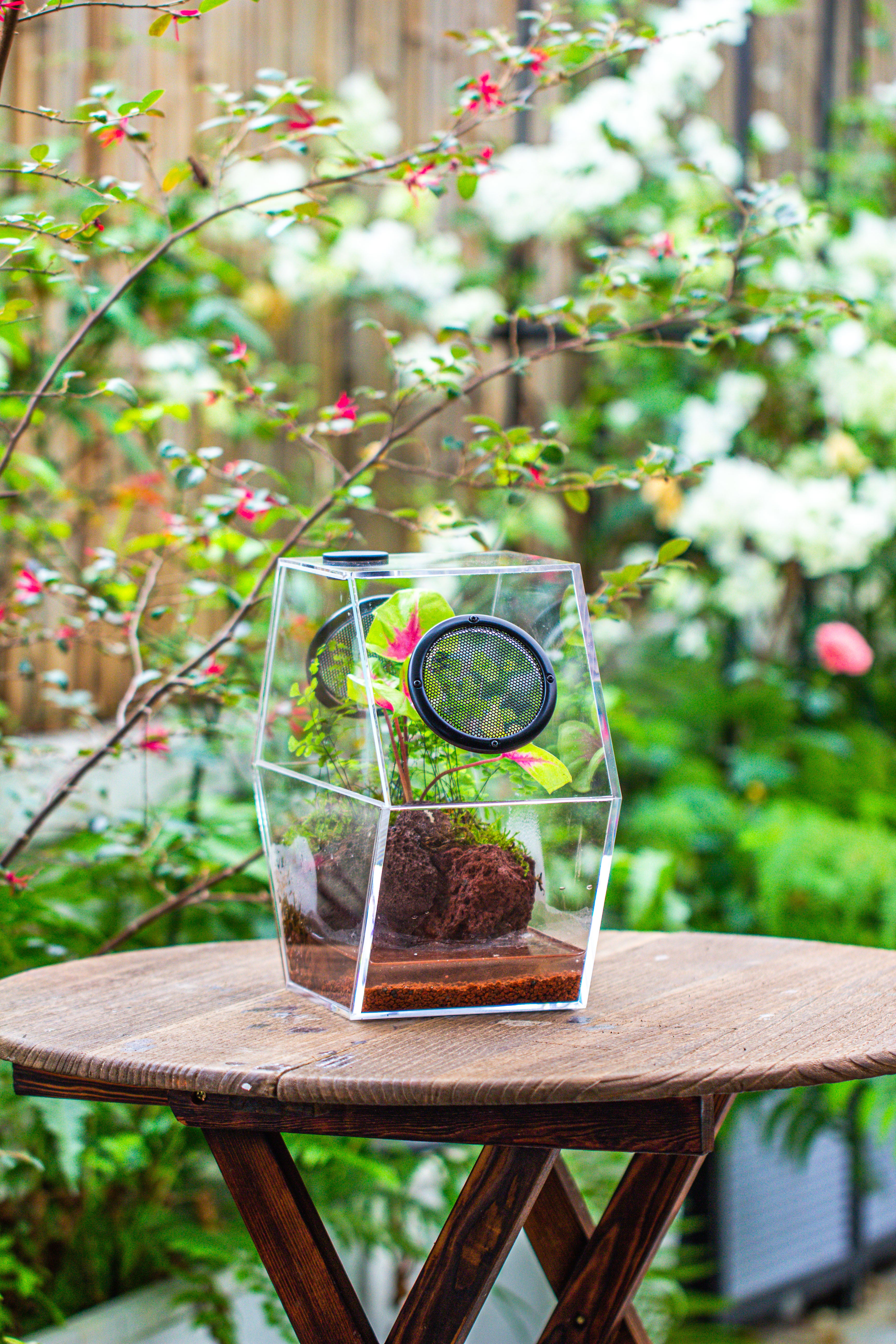 Handmade Extra Large Acrylic Hexagon Watertight Enclosure Terrarium with Mesh Vents, Feed Hole for Insects, Vivarium, Enclosure Only - NCYPgarden