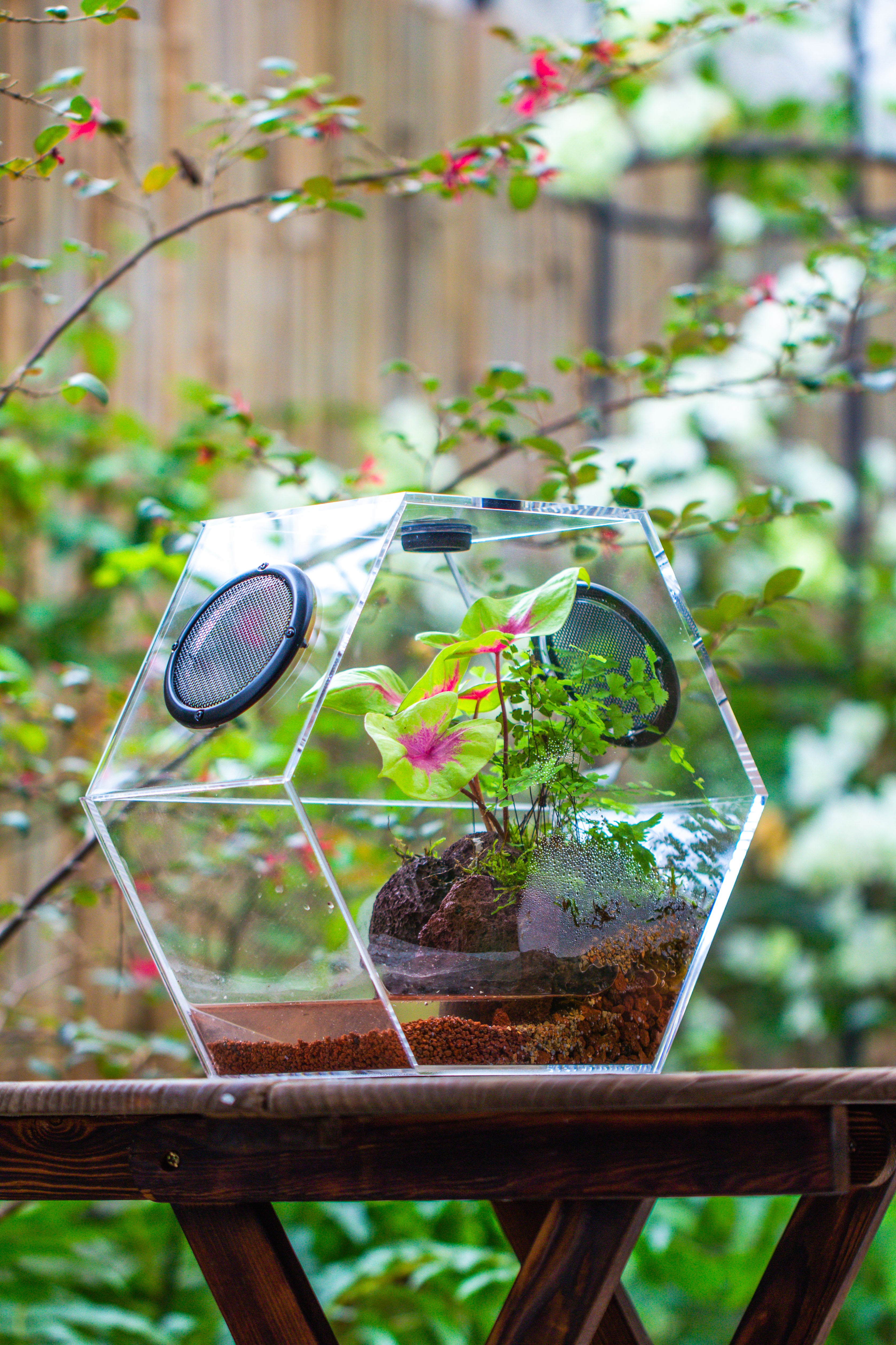 Handmade Extra Large Acrylic Hexagon Watertight Enclosure Terrarium with Mesh Vents, Feed Hole for Insects, Vivarium, Enclosure Only - NCYPgarden