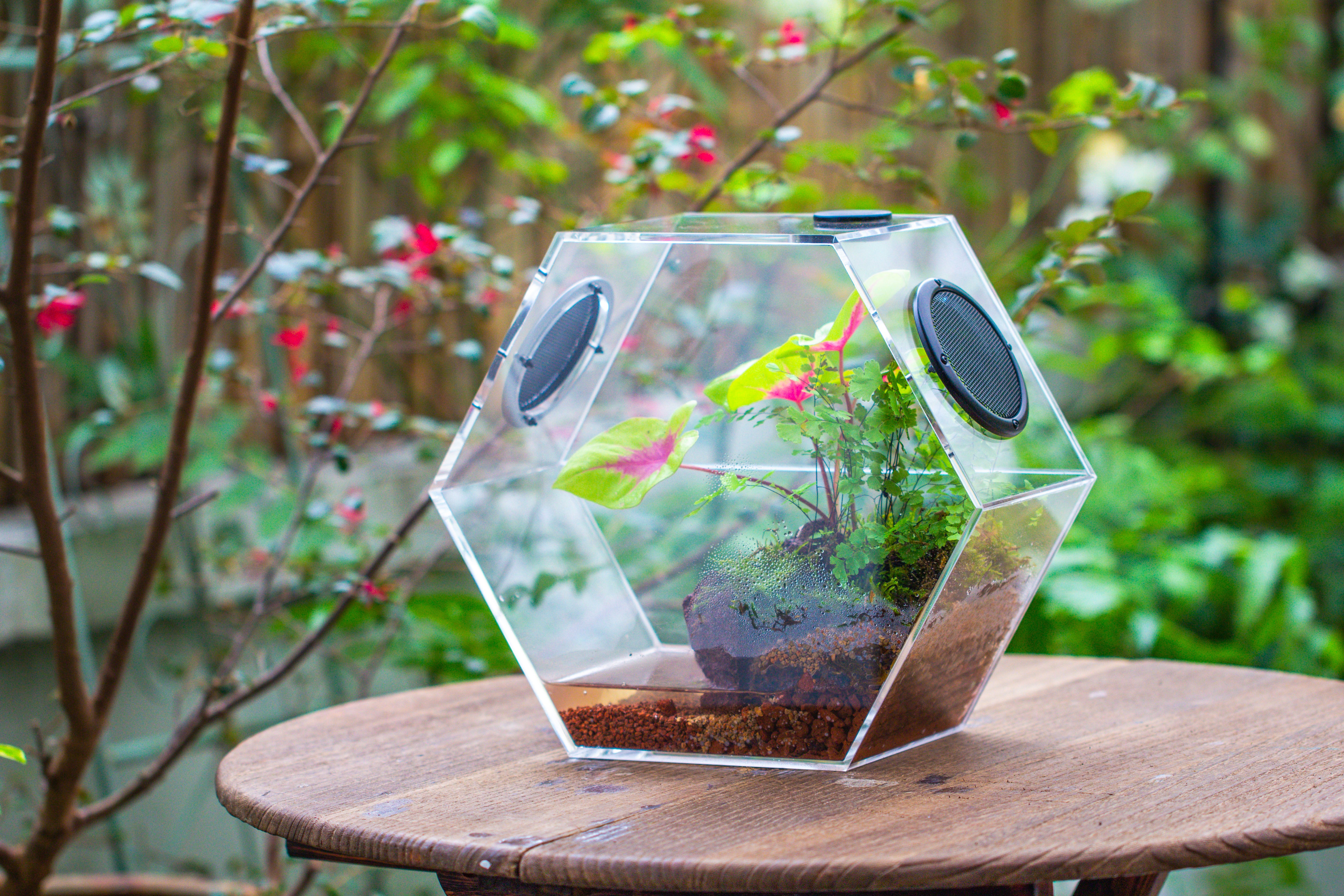 Handmade Extra Large Acrylic Hexagon Watertight Enclosure Terrarium with Mesh Vents, Feed Hole for Insects, Vivarium, Enclosure Only - NCYPgarden