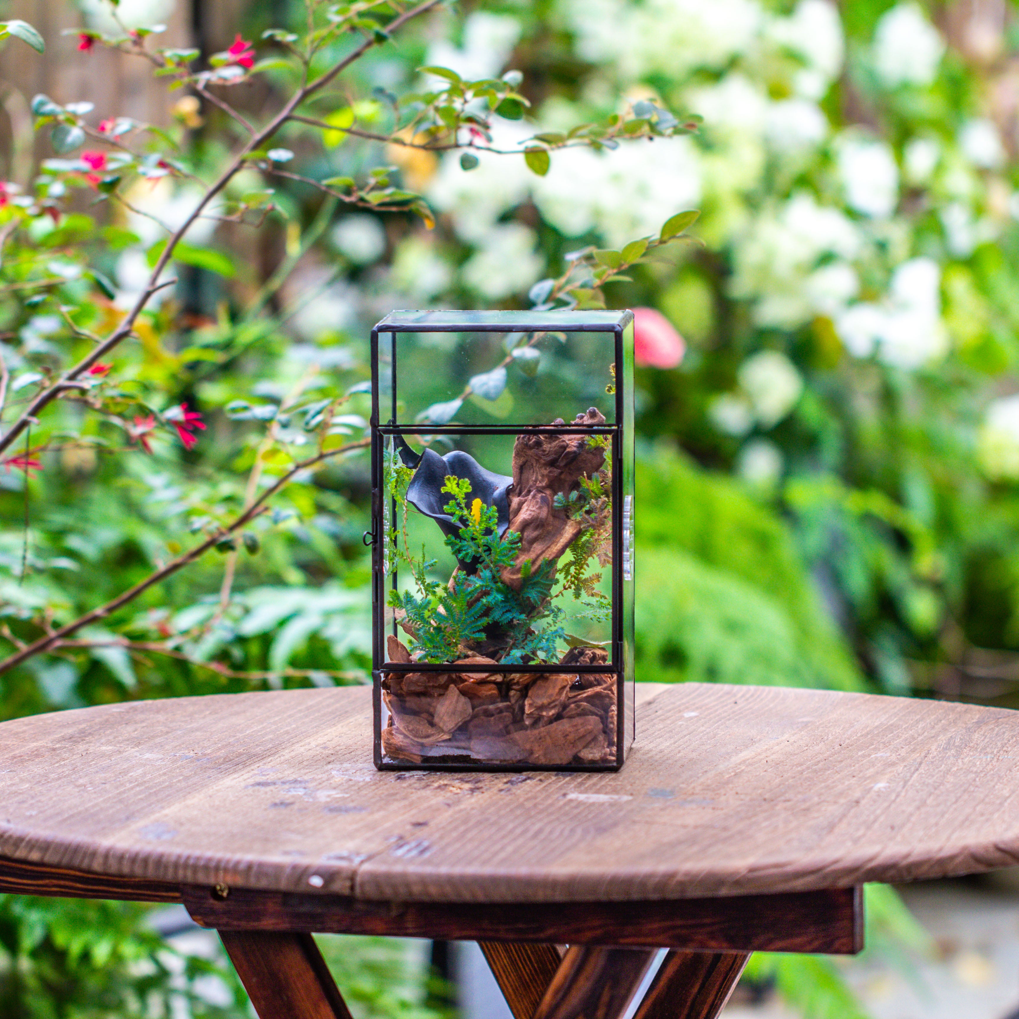NCYP Rectangle Tin and Glass Geometric Terrarium,  with side door,  with Mesh  / vent holes for small Insects Pet - NCYPgarden