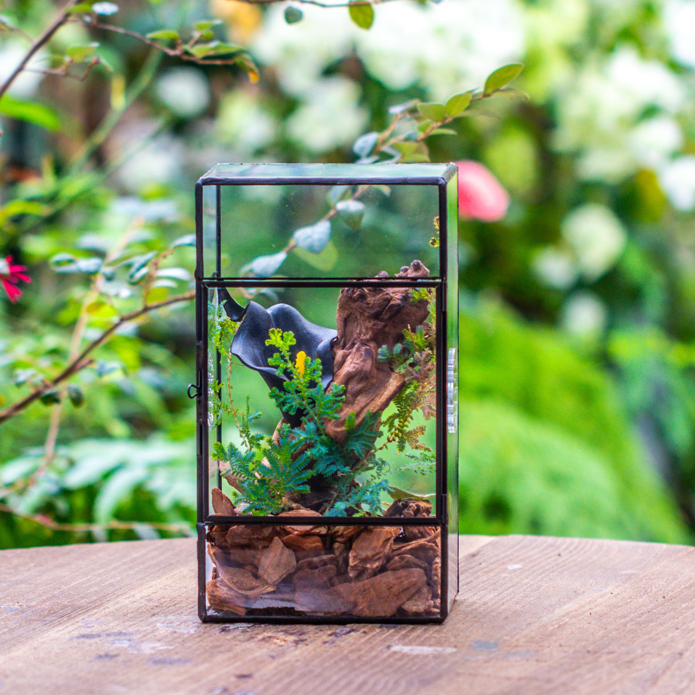 NCYP Rectangle Tin and Glass Geometric Terrarium,  with side door,  with Mesh  / vent holes for small Insects Pet - NCYPgarden