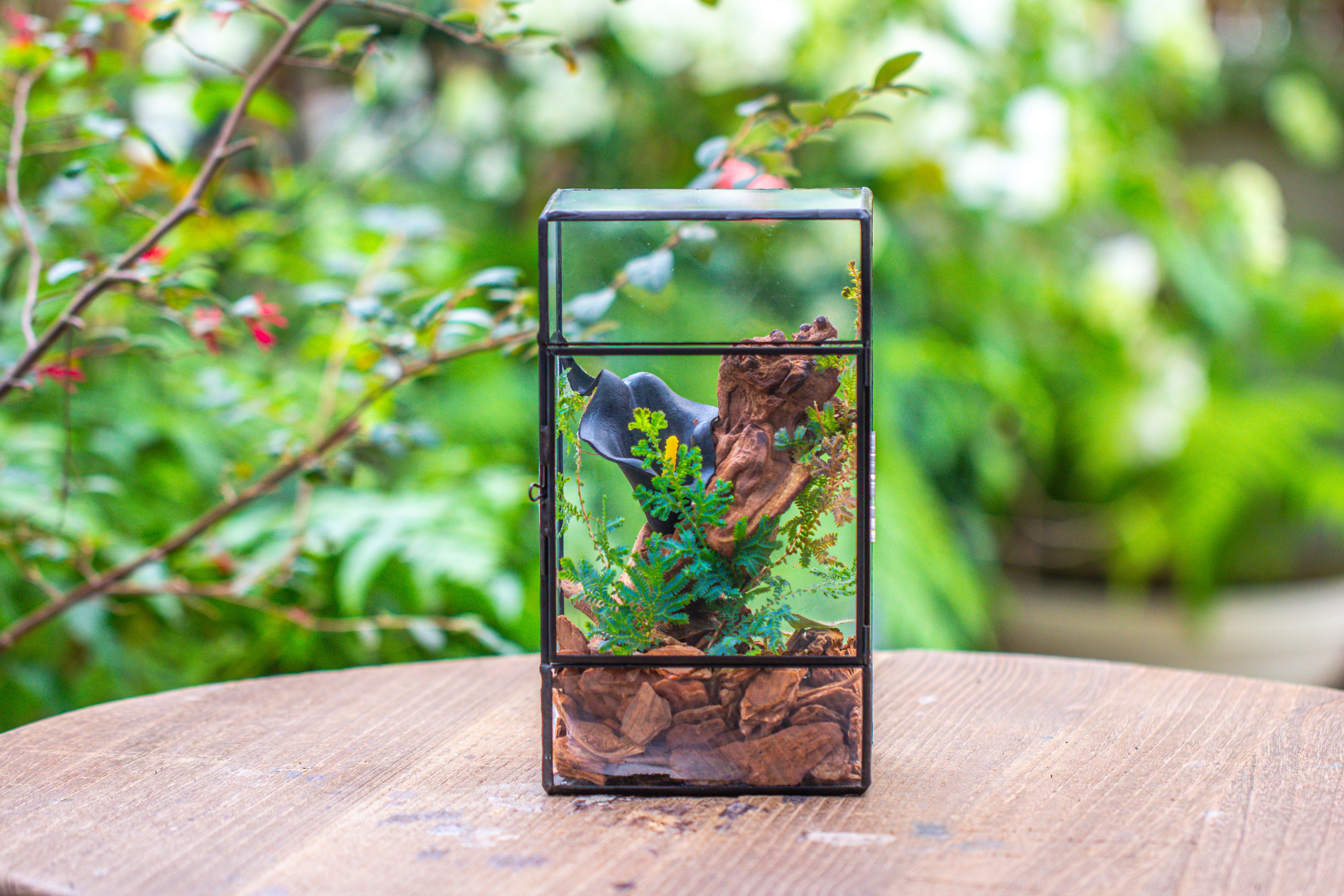 NCYP Rectangle Tin and Glass Geometric Terrarium,  with side door,  with Mesh  / vent holes for small Insects Pet - NCYPgarden