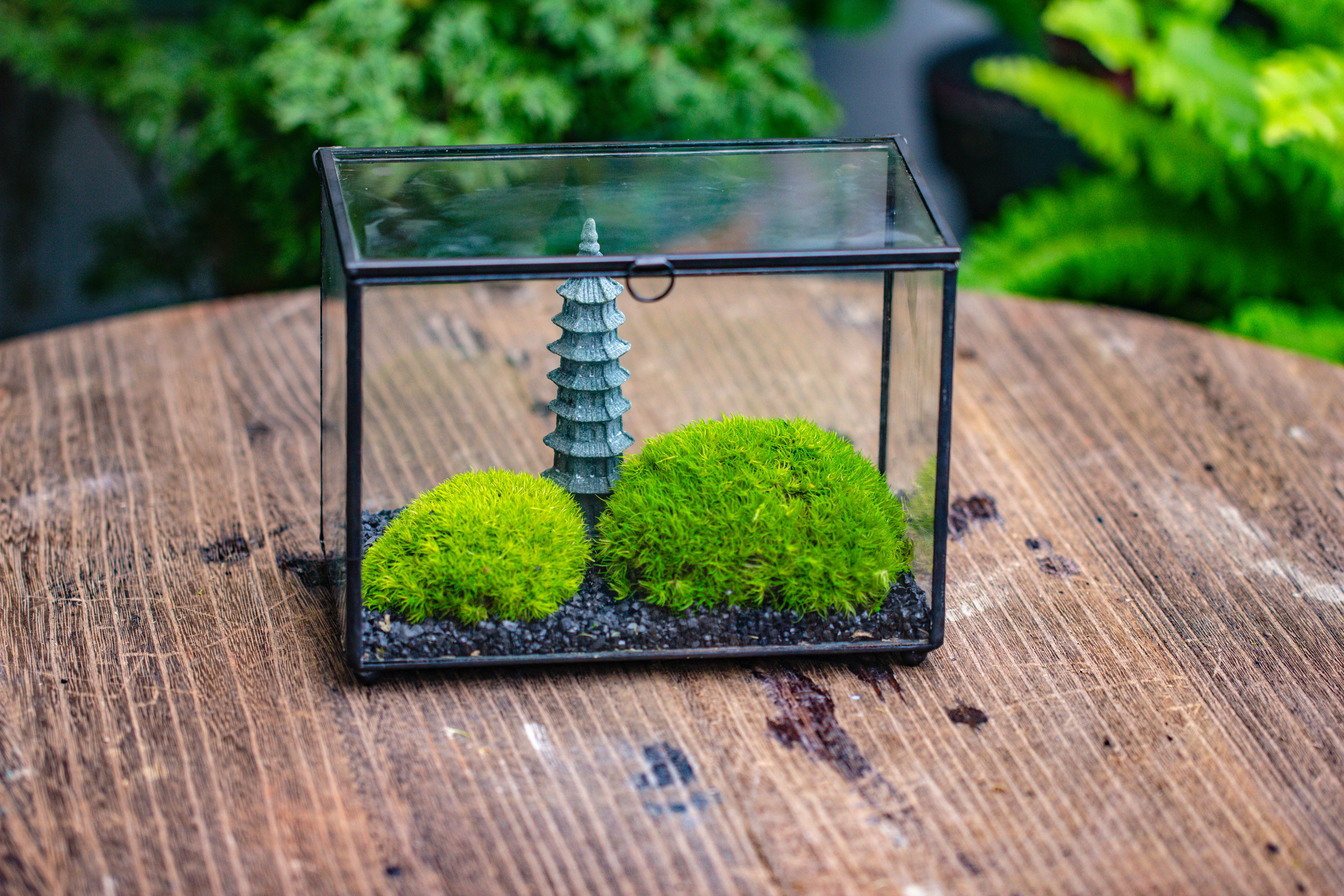 Preserved moss terrarium Miniature DIY set, Japanese Zen Style, Preserved Leucobryum moss and pagoda, 17*10*12cm / 6.7 x 3.9 x 4.7" - NCYPgarden