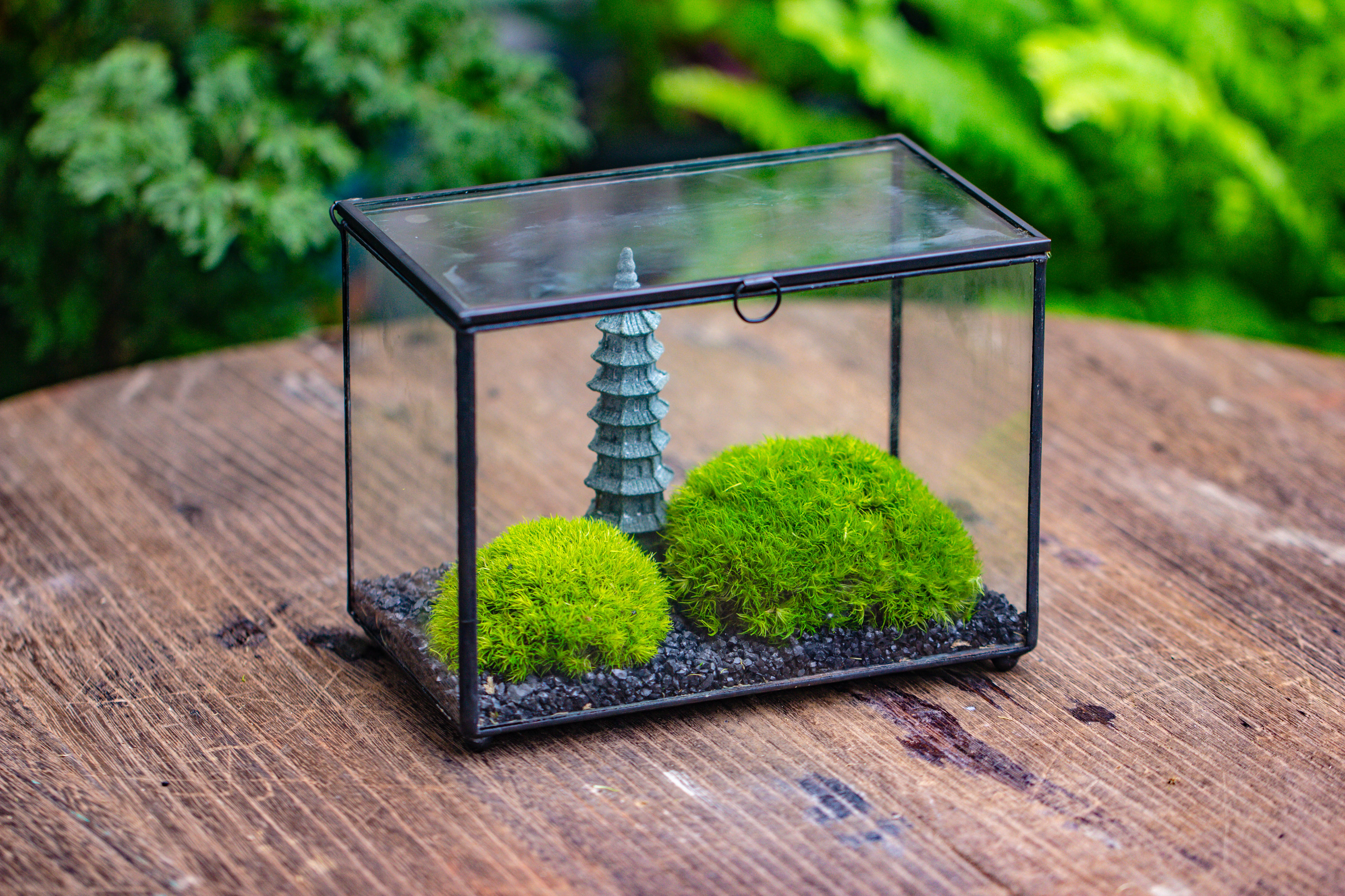 Preserved moss terrarium Miniature DIY set, Japanese Zen Style, Preserved Leucobryum moss and pagoda, 17*10*12cm / 6.7 x 3.9 x 4.7" - NCYPgarden