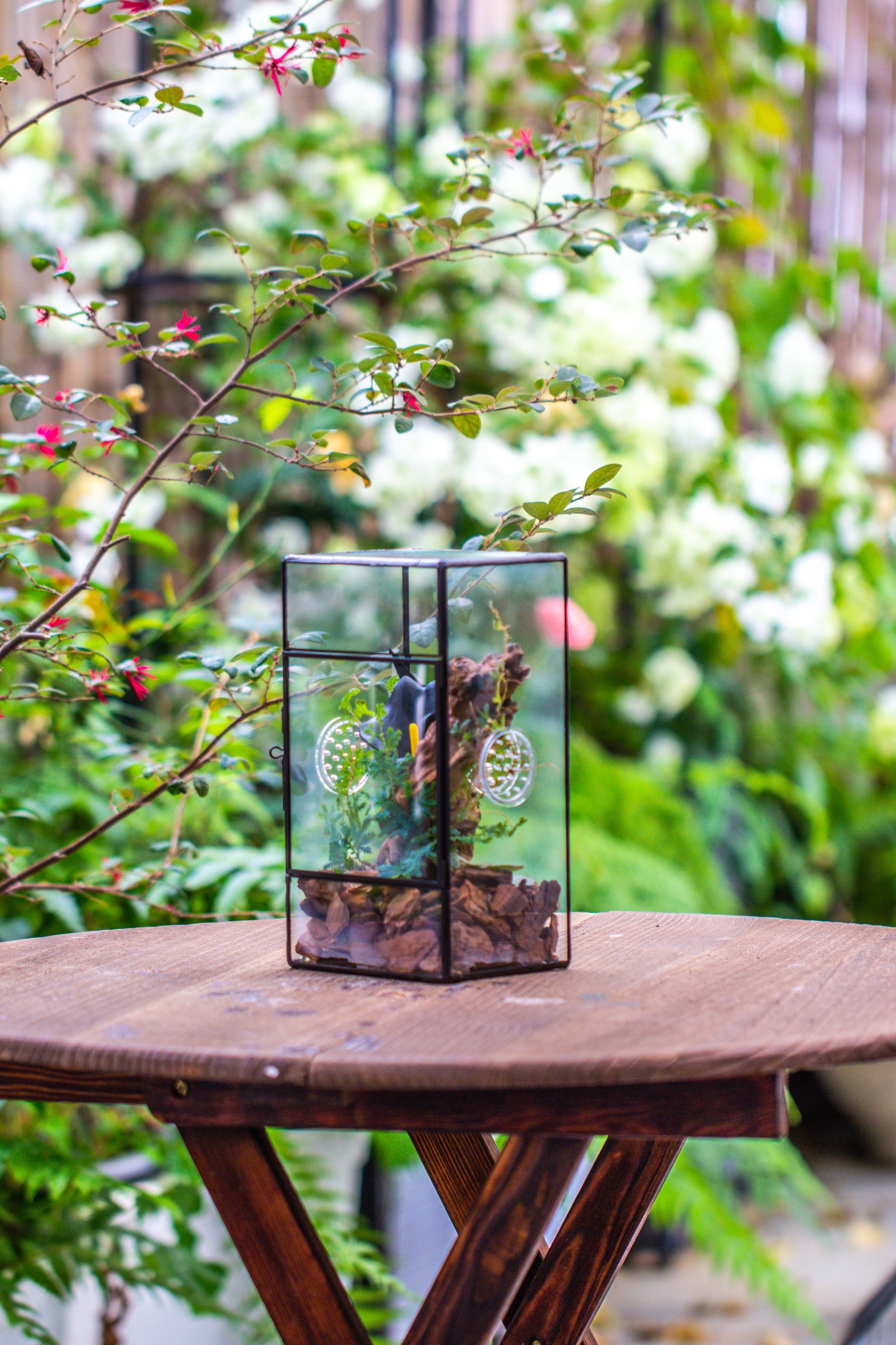 NCYP Rectangle Tin and Glass Geometric Terrarium,  with side door,  with Mesh  / vent holes for small Insects Pet - NCYPgarden