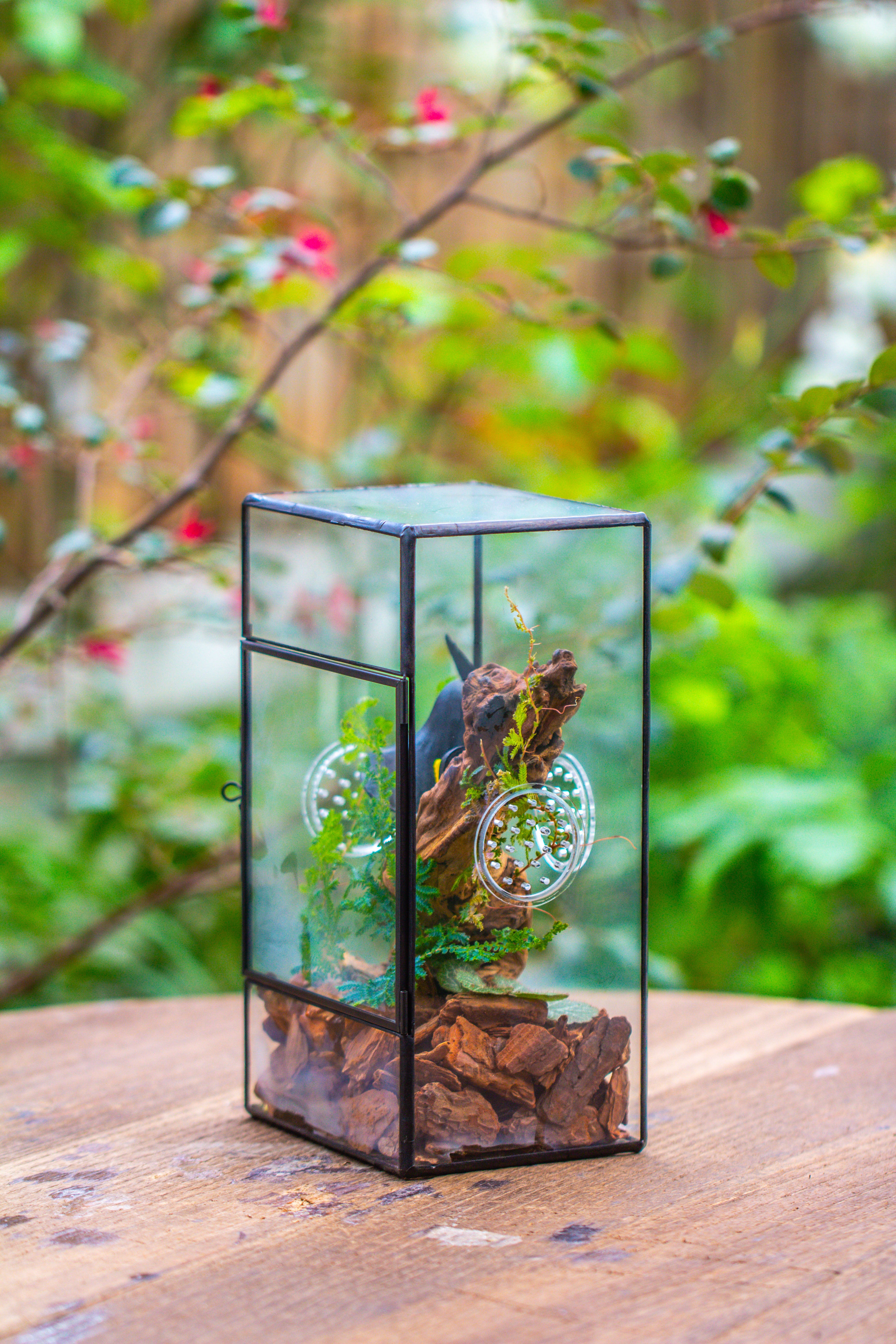 NCYP Rectangle Tin and Glass Geometric Terrarium,  with side door,  with Mesh  / vent holes for small Insects Pet - NCYPgarden