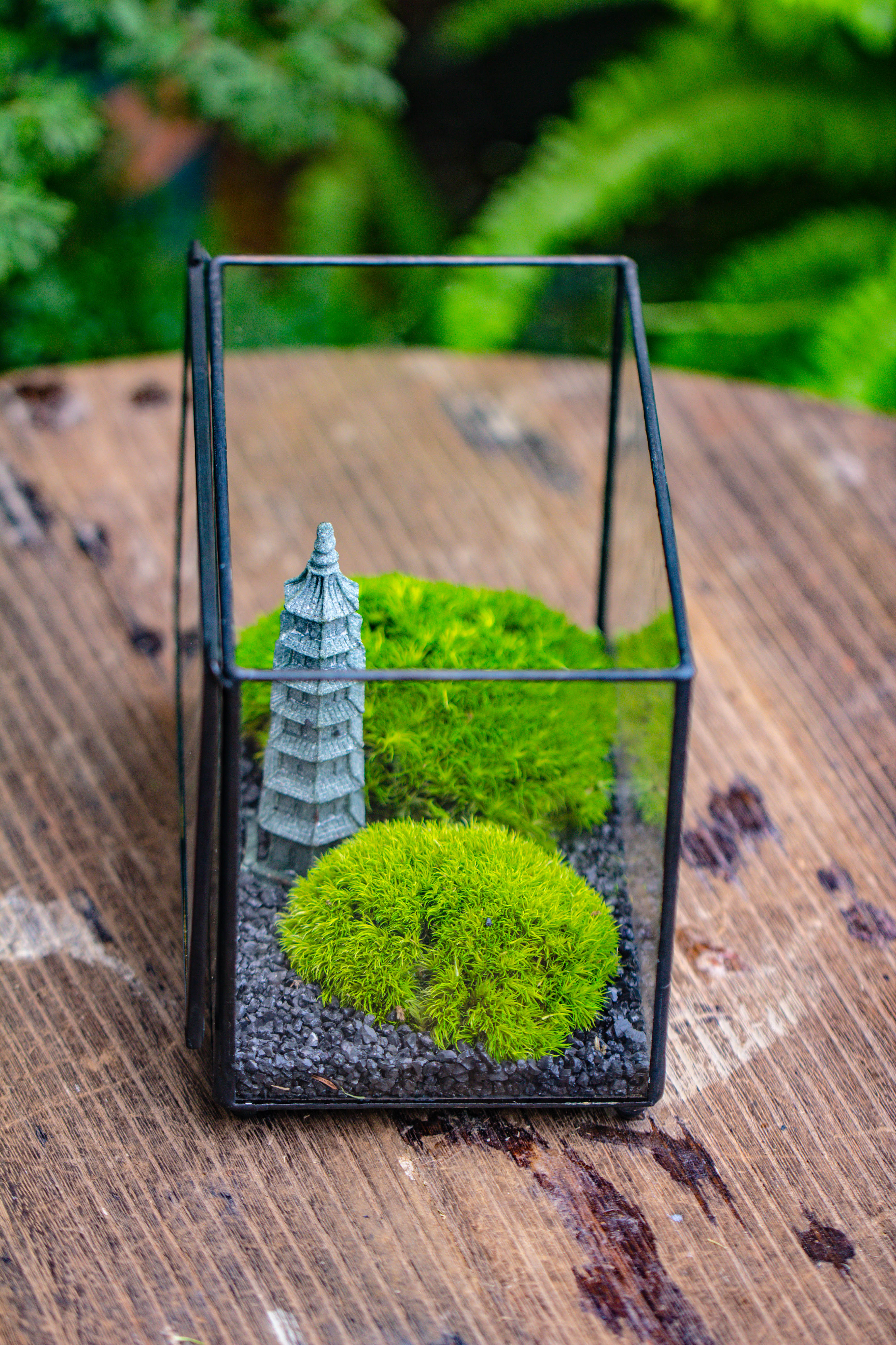 Preserved moss terrarium Miniature DIY set, Japanese Zen Style, Preserved Leucobryum moss and pagoda, 17*10*12cm / 6.7 x 3.9 x 4.7" - NCYPgarden