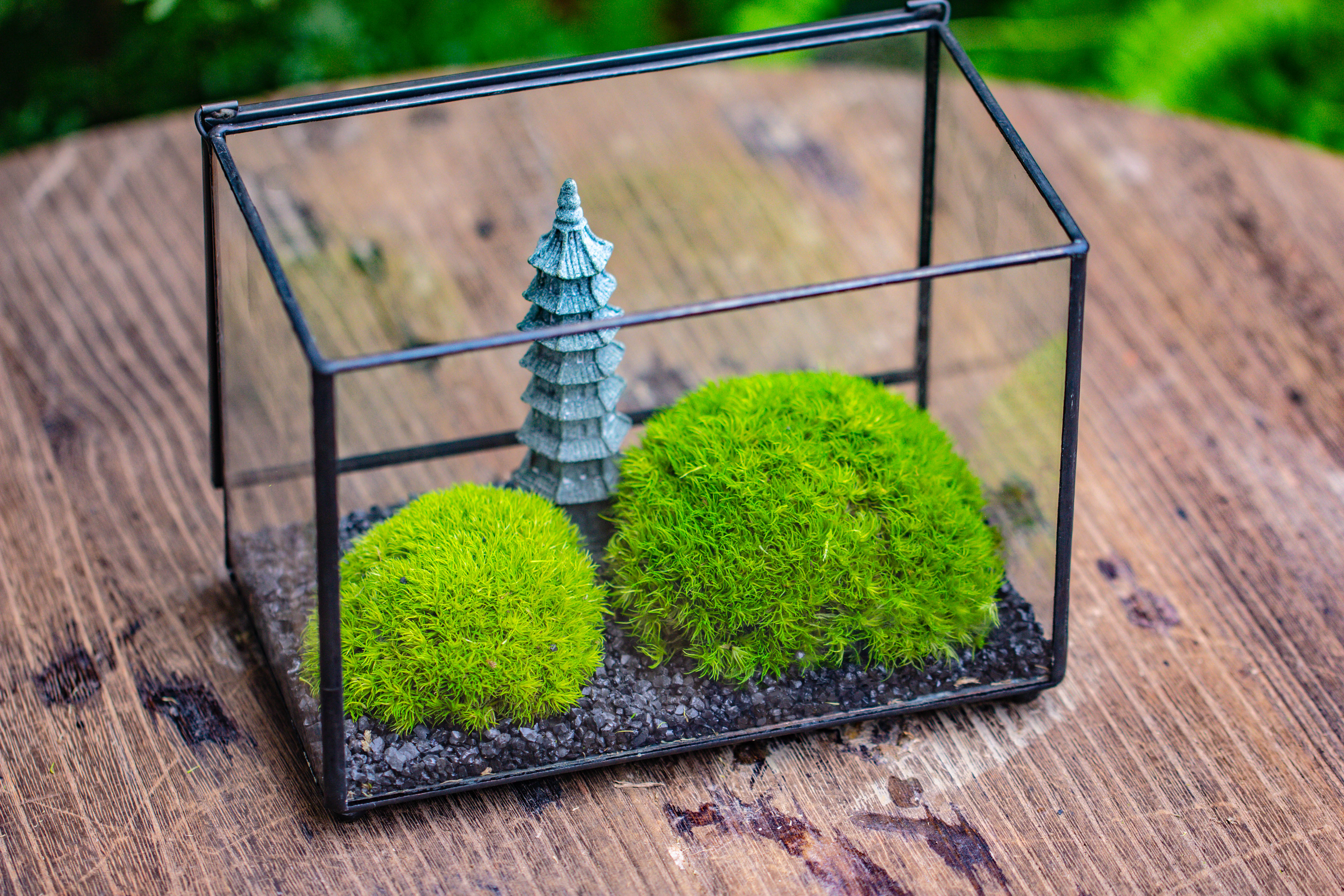 Preserved moss terrarium Miniature DIY set, Japanese Zen Style, Preserved Leucobryum moss and pagoda, 17*10*12cm / 6.7 x 3.9 x 4.7" - NCYPgarden