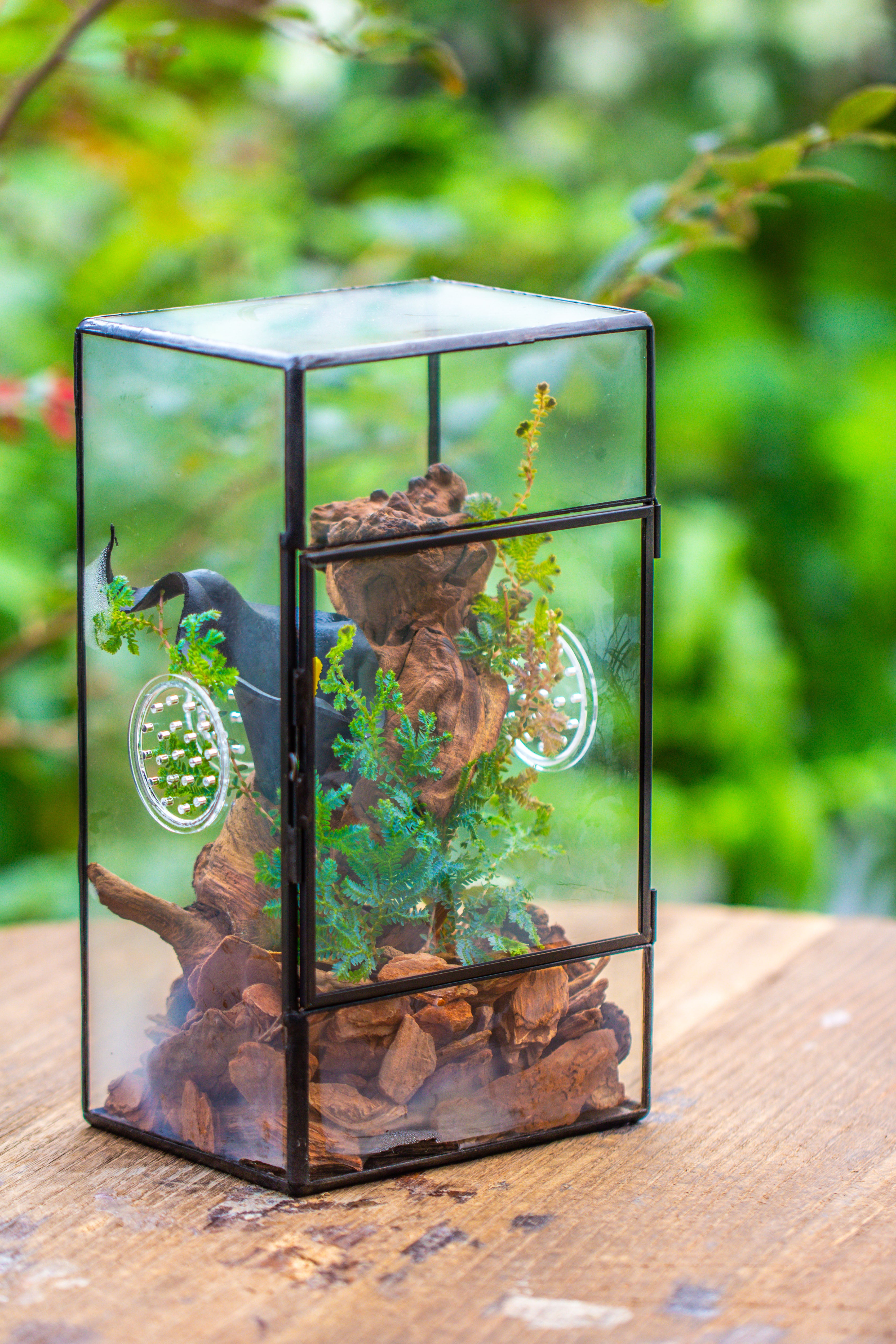 NCYP Rectangle Tin and Glass Geometric Terrarium,  with side door,  with Mesh  / vent holes for small Insects Pet - NCYPgarden
