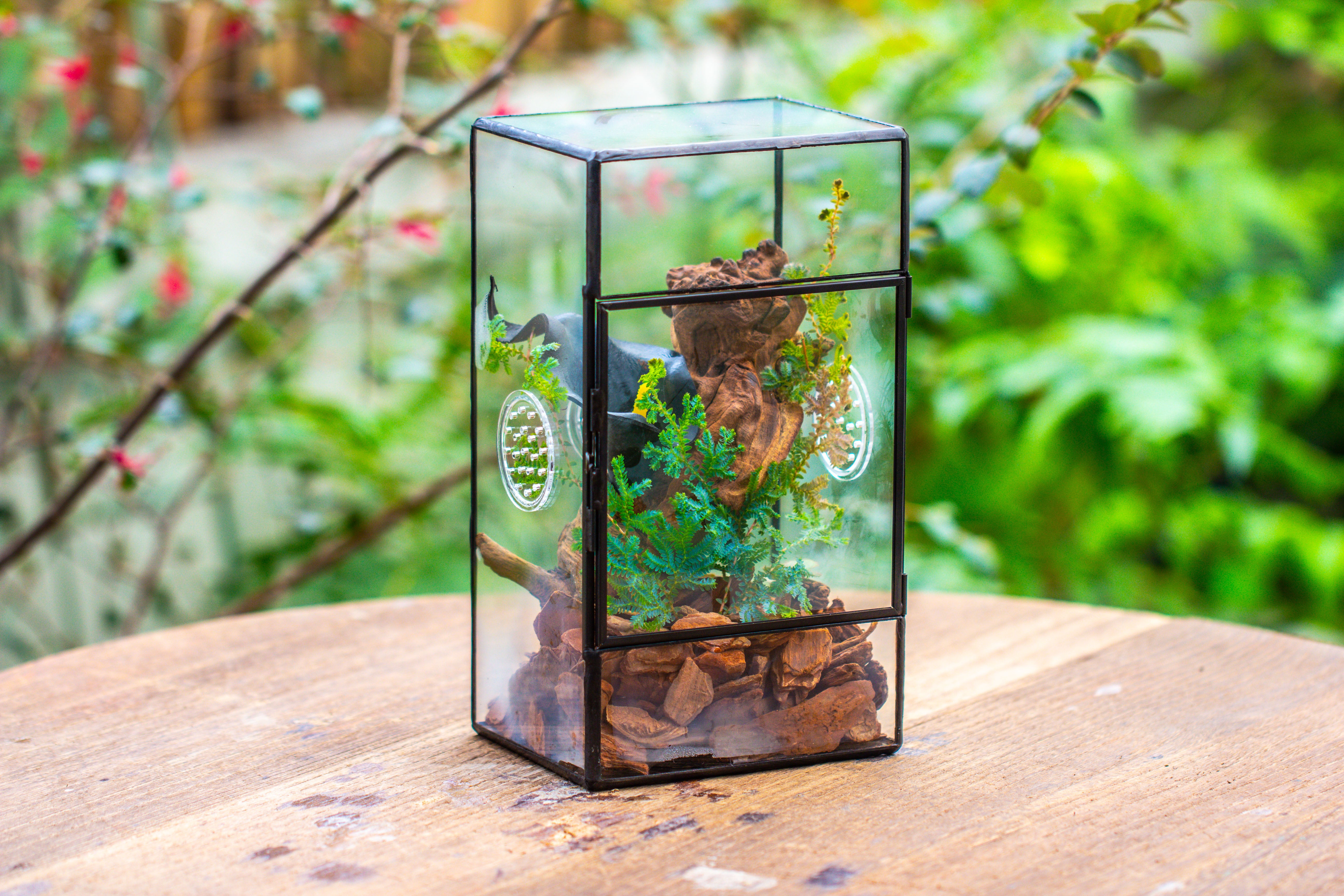 NCYP Rectangle Tin and Glass Geometric Terrarium,  with side door,  with Mesh  / vent holes for small Insects Pet - NCYPgarden