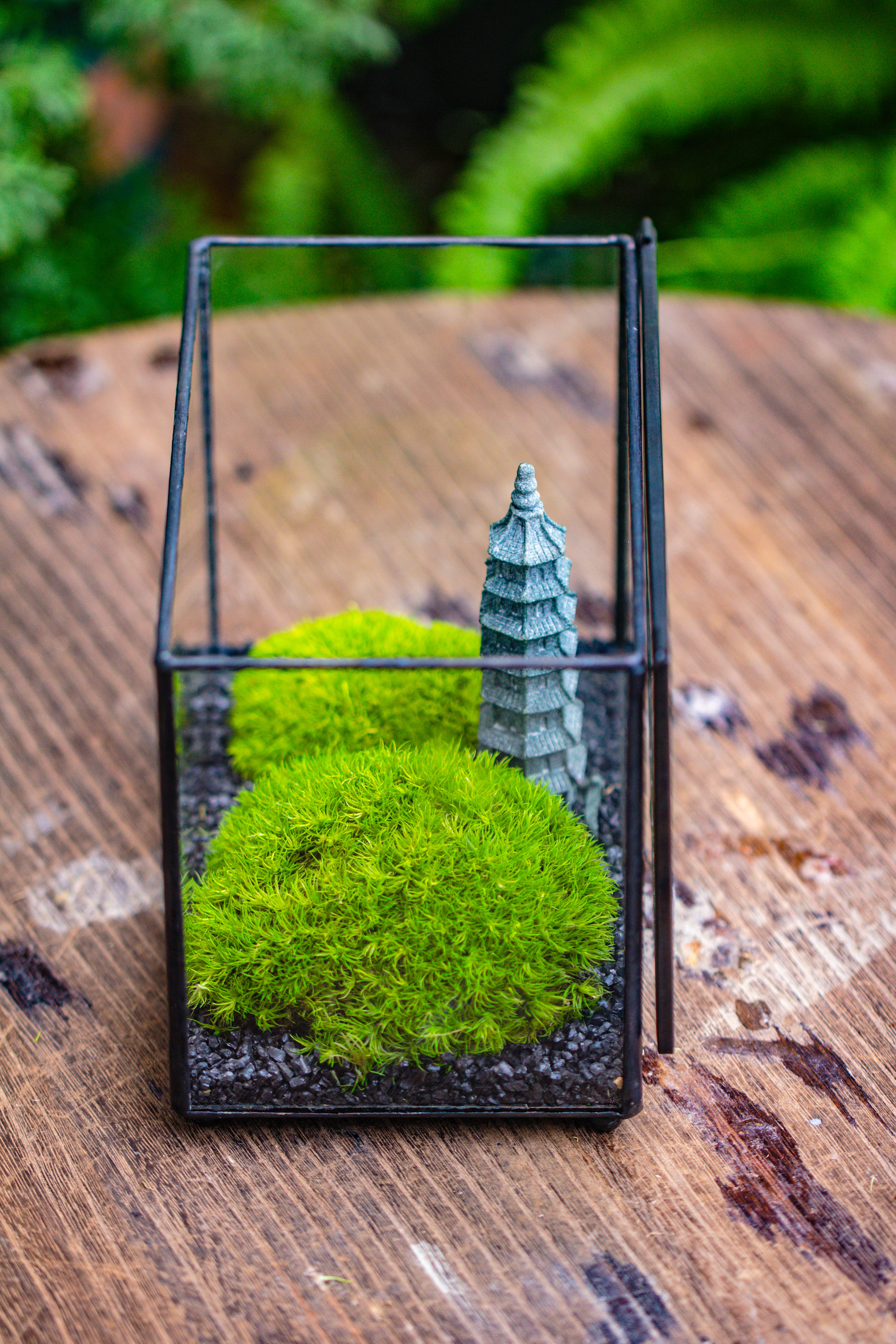 Preserved moss terrarium Miniature DIY set, Japanese Zen Style, Preserved Leucobryum moss and pagoda, 17*10*12cm / 6.7 x 3.9 x 4.7" - NCYPgarden