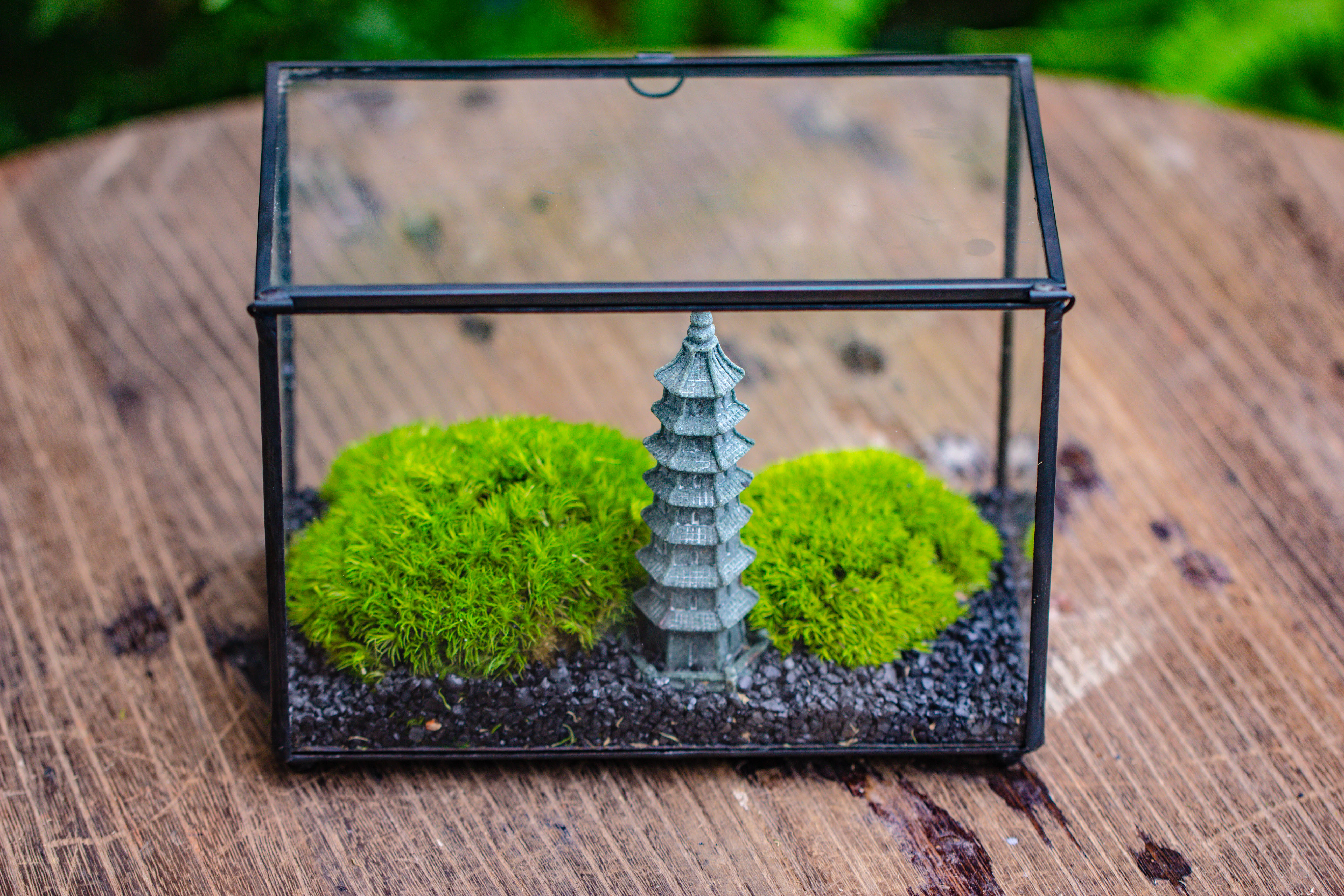 Preserved moss terrarium Miniature DIY set, Japanese Zen Style, Preserved Leucobryum moss and pagoda, 17*10*12cm / 6.7 x 3.9 x 4.7" - NCYPgarden