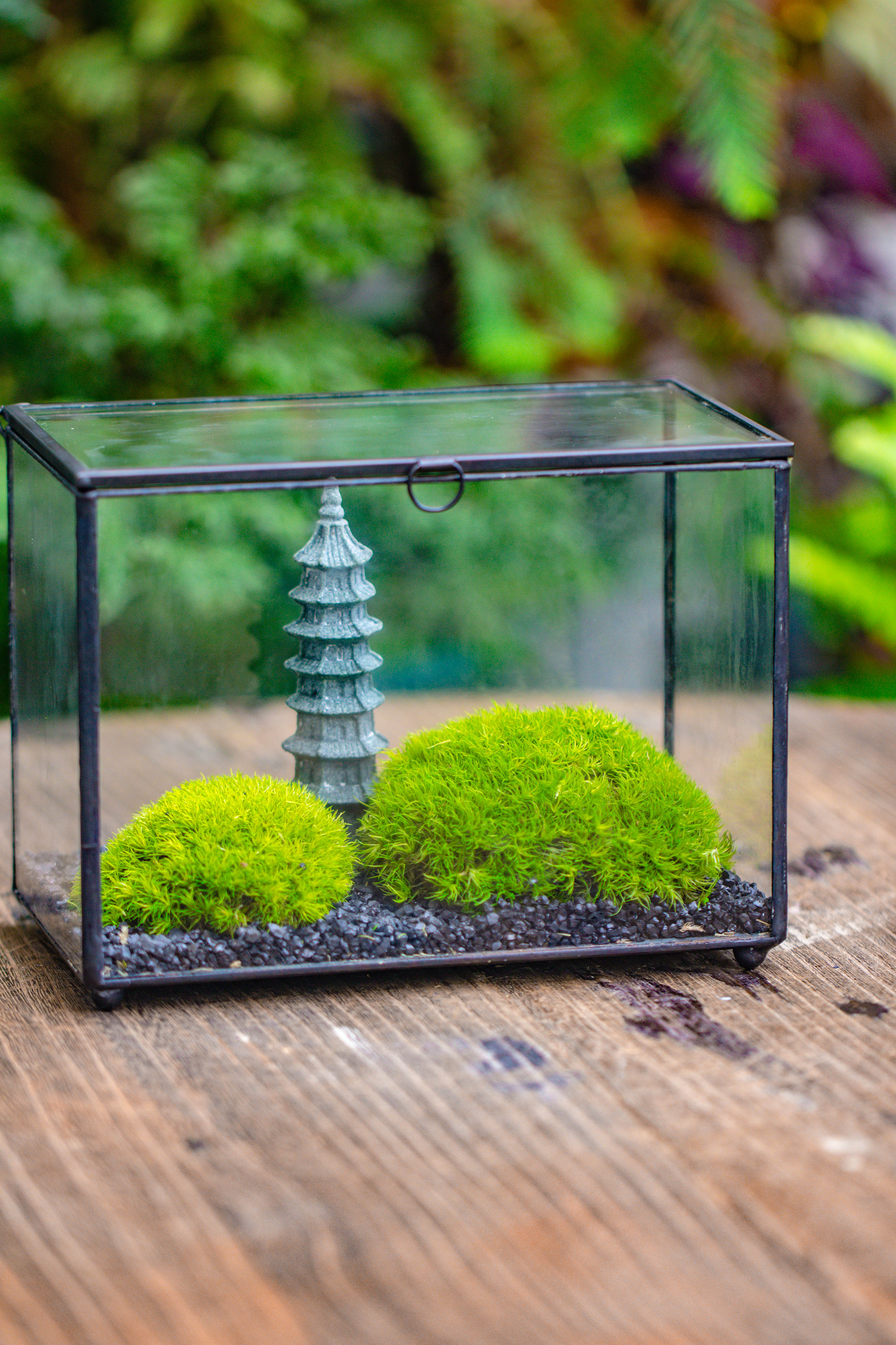 Preserved moss terrarium Miniature DIY set, Japanese Zen Style, Preserved Leucobryum moss and pagoda, 17*10*12cm / 6.7 x 3.9 x 4.7" - NCYPgarden
