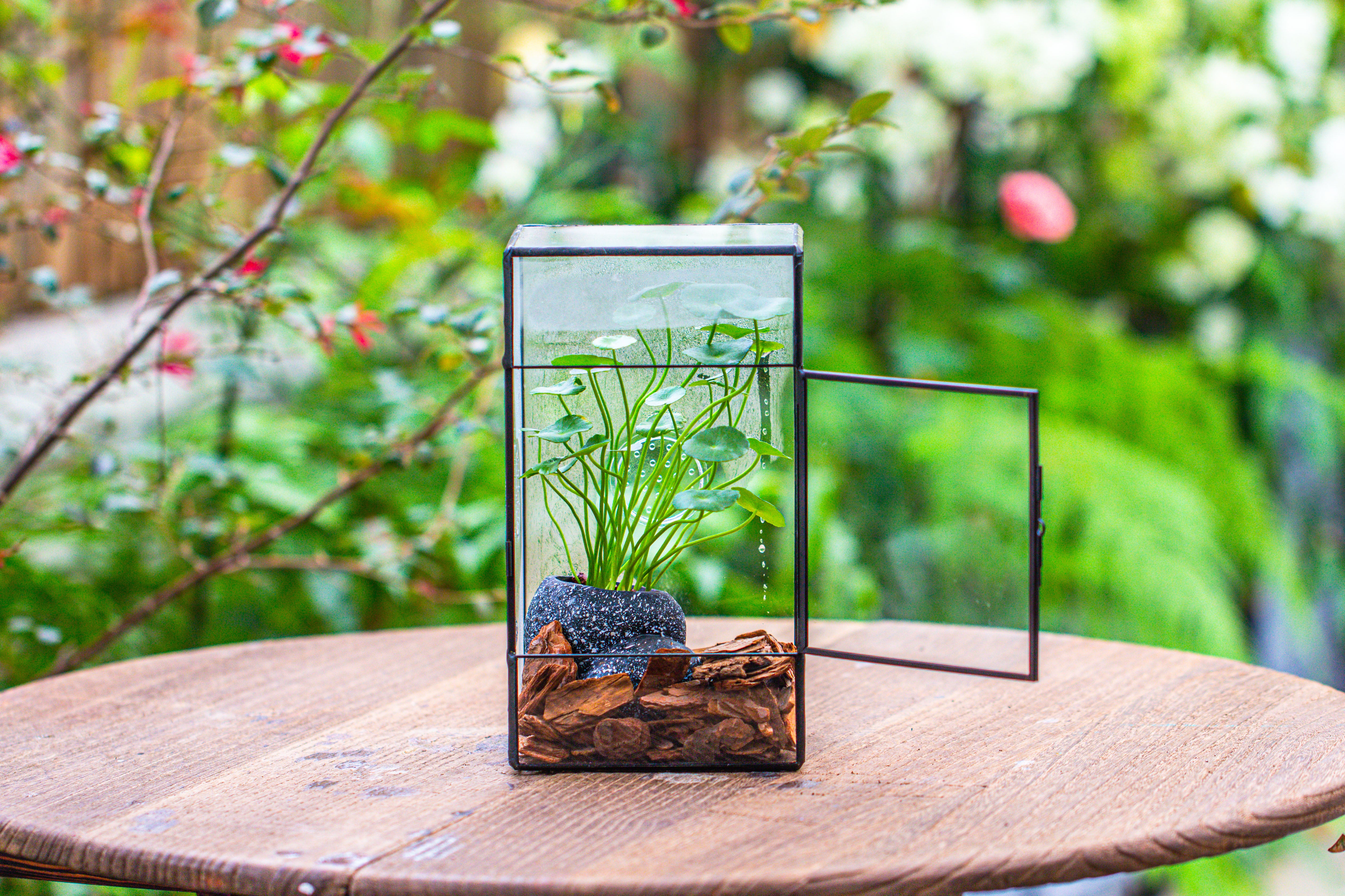 NCYP Rectangle Tin and Glass Geometric Terrarium,  with side door,  with Mesh  / vent holes for small Insects Pet - NCYPgarden