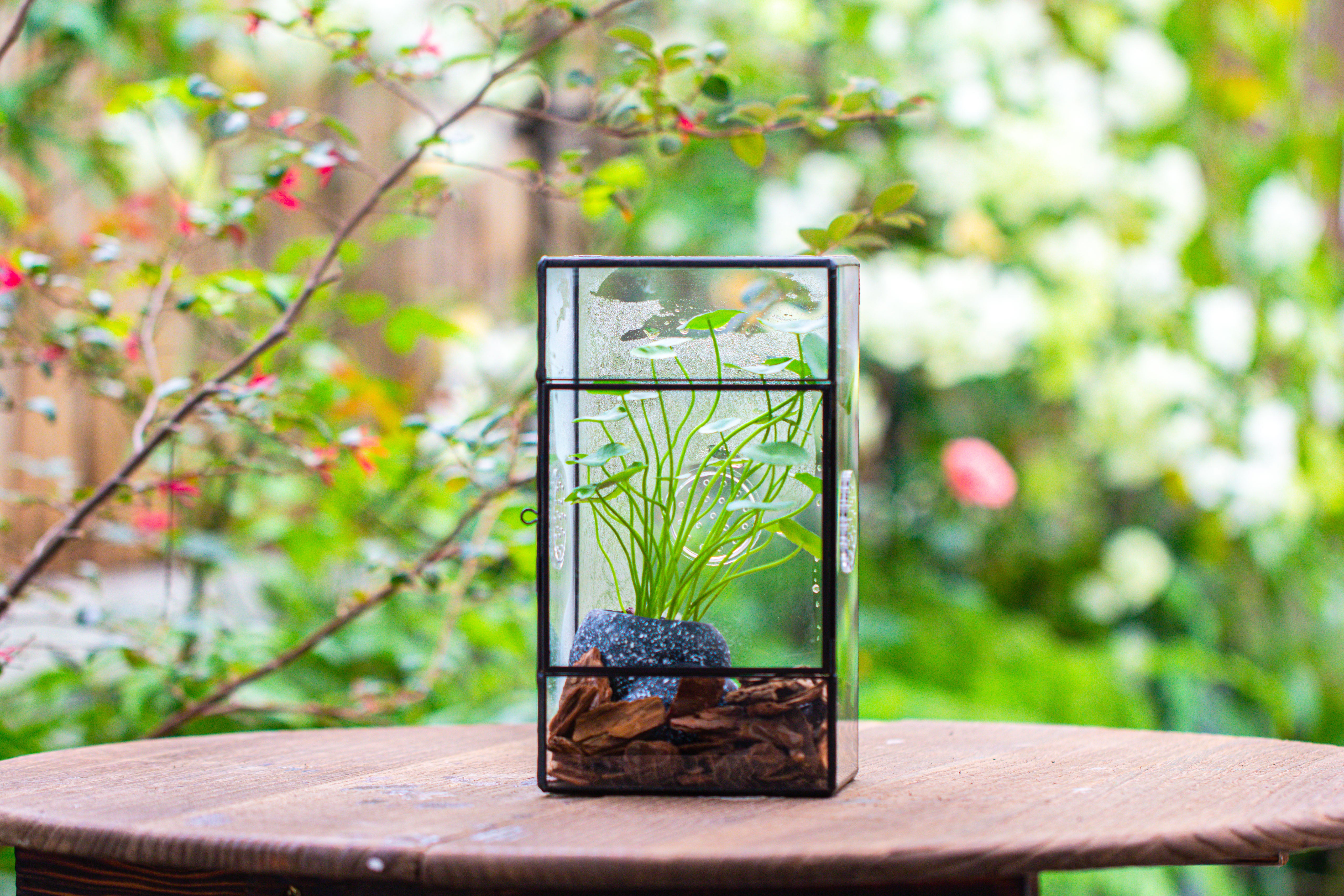 NCYP Rectangle Tin and Glass Geometric Terrarium,  with side door,  with Mesh  / vent holes for small Insects Pet - NCYPgarden