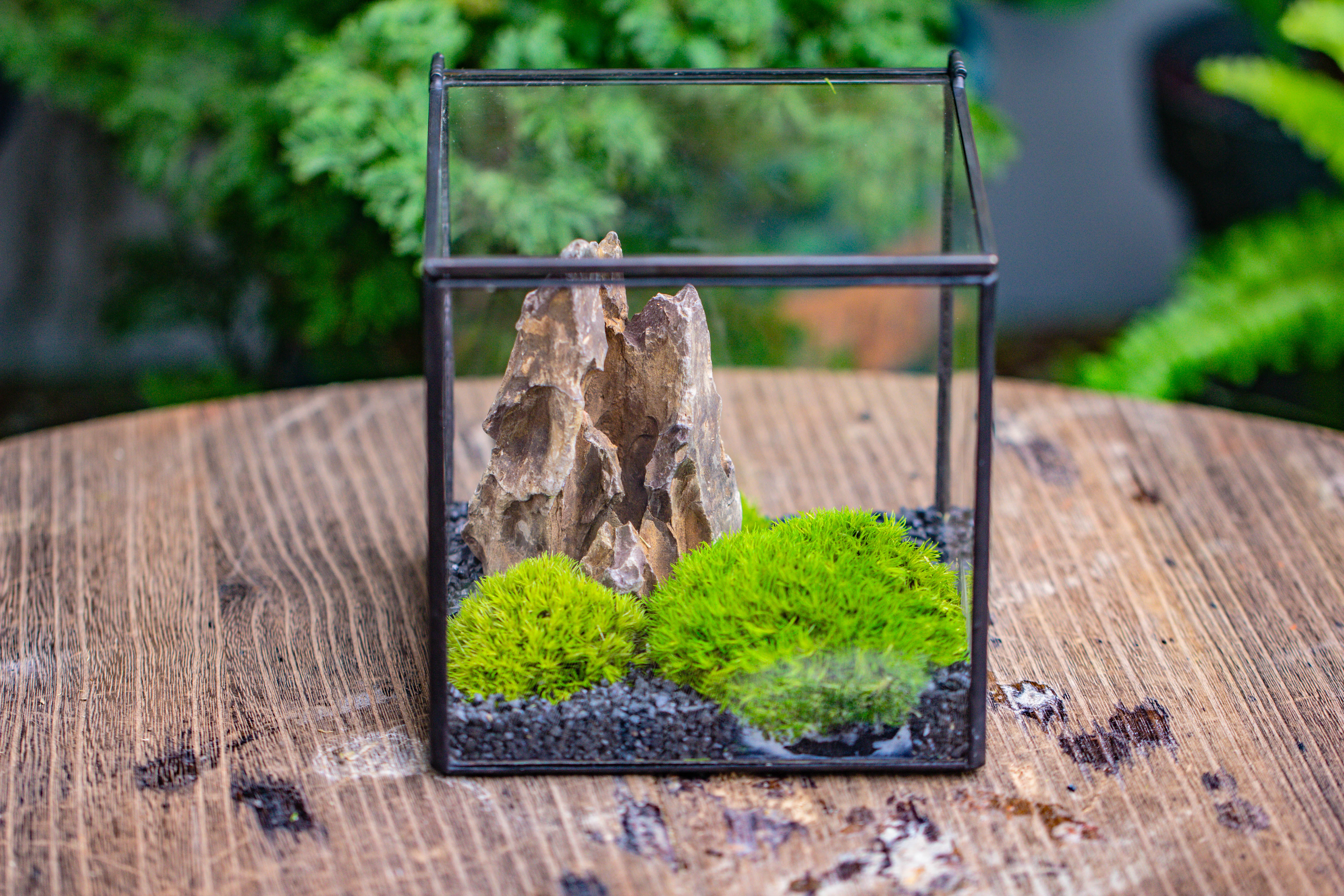 2-6" / 5-15cm cutted Flat bottom Natural Ohko Dragon Stone Rock for Terrarium, Aquarium Bonsai Landscape, 2kg/4.4lb, with DIY tools - NCYPgarden