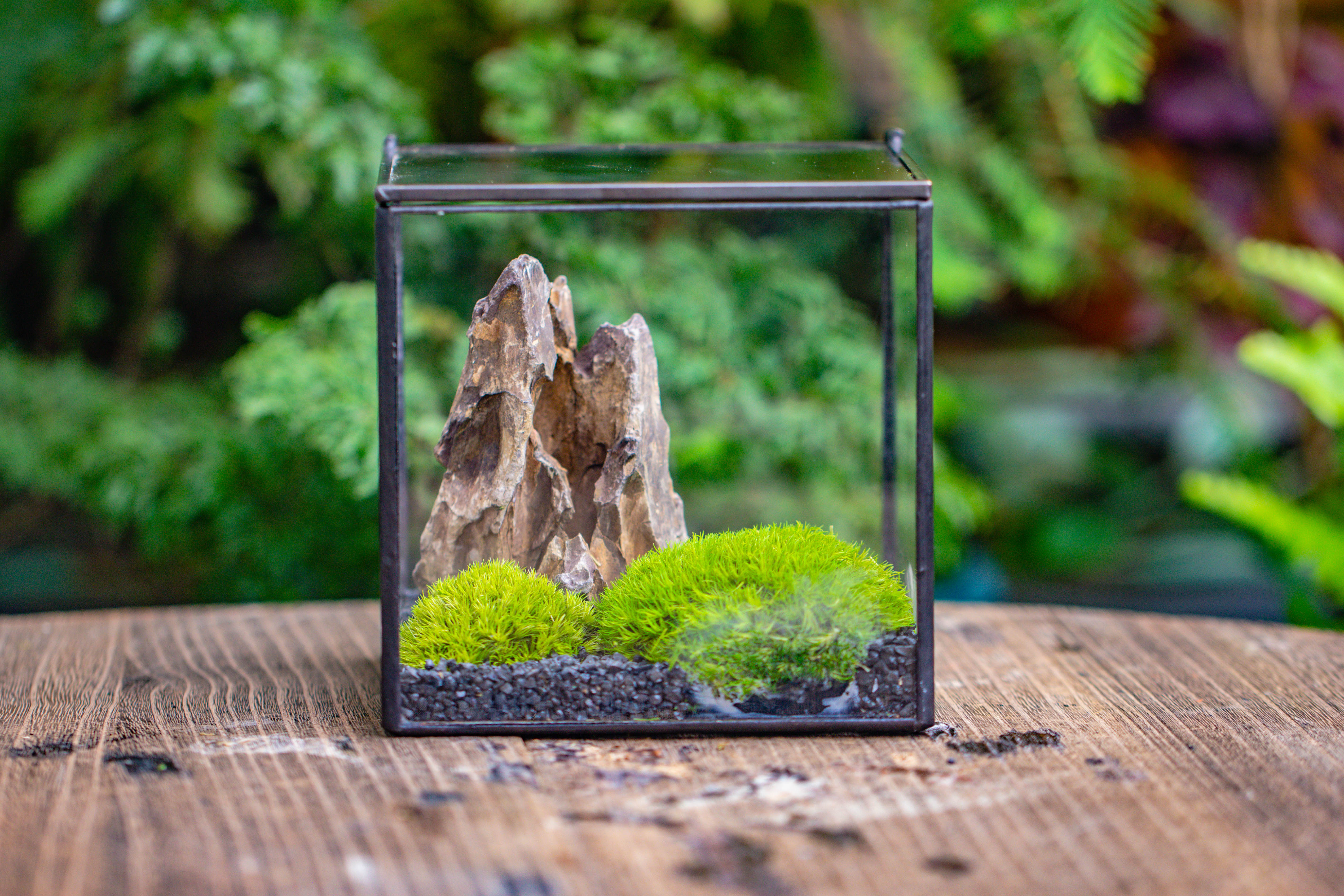 2-6" / 5-15cm cutted Flat bottom Natural Ohko Dragon Stone Rock for Terrarium, Aquarium Bonsai Landscape, 2kg/4.4lb, with DIY tools - NCYPgarden