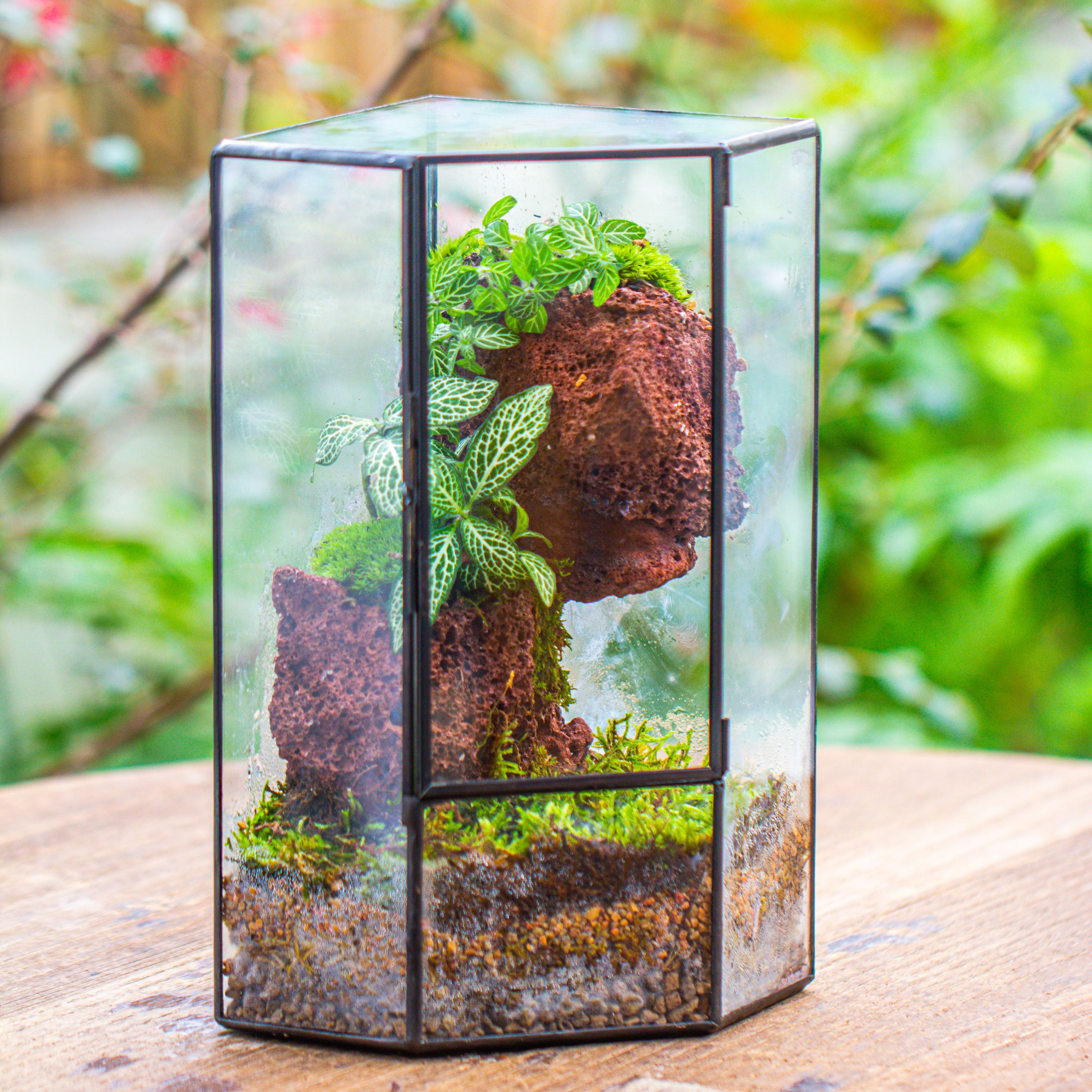 Small Version Handmade Glass Terrarium with Door for Plant, Moss Wall, Closed Geometric Tin Pentagon Planter - NCYPgarden
