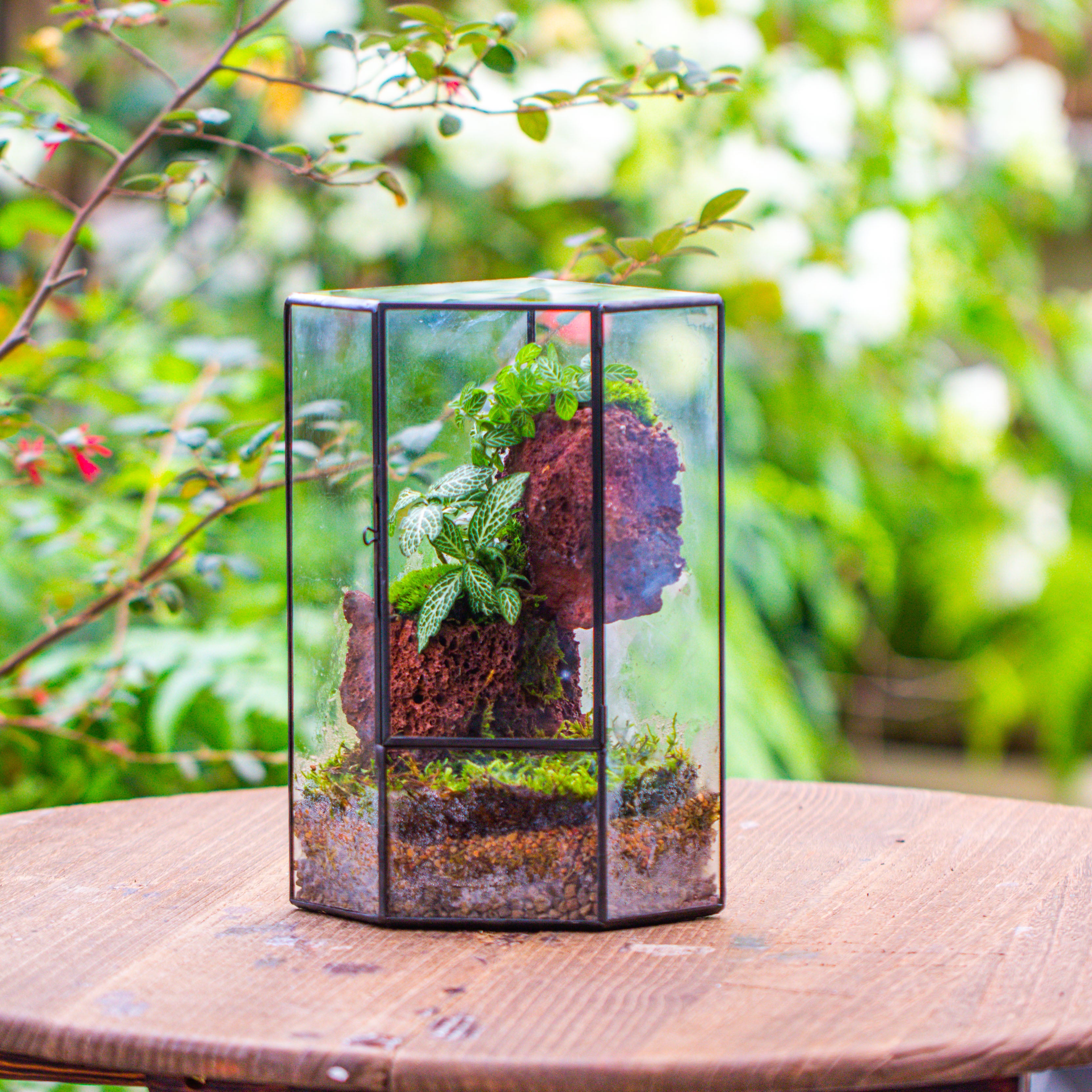 Small Version Handmade Glass Terrarium with Door for Plant, Moss Wall, Closed Geometric Tin Pentagon Planter - NCYPgarden