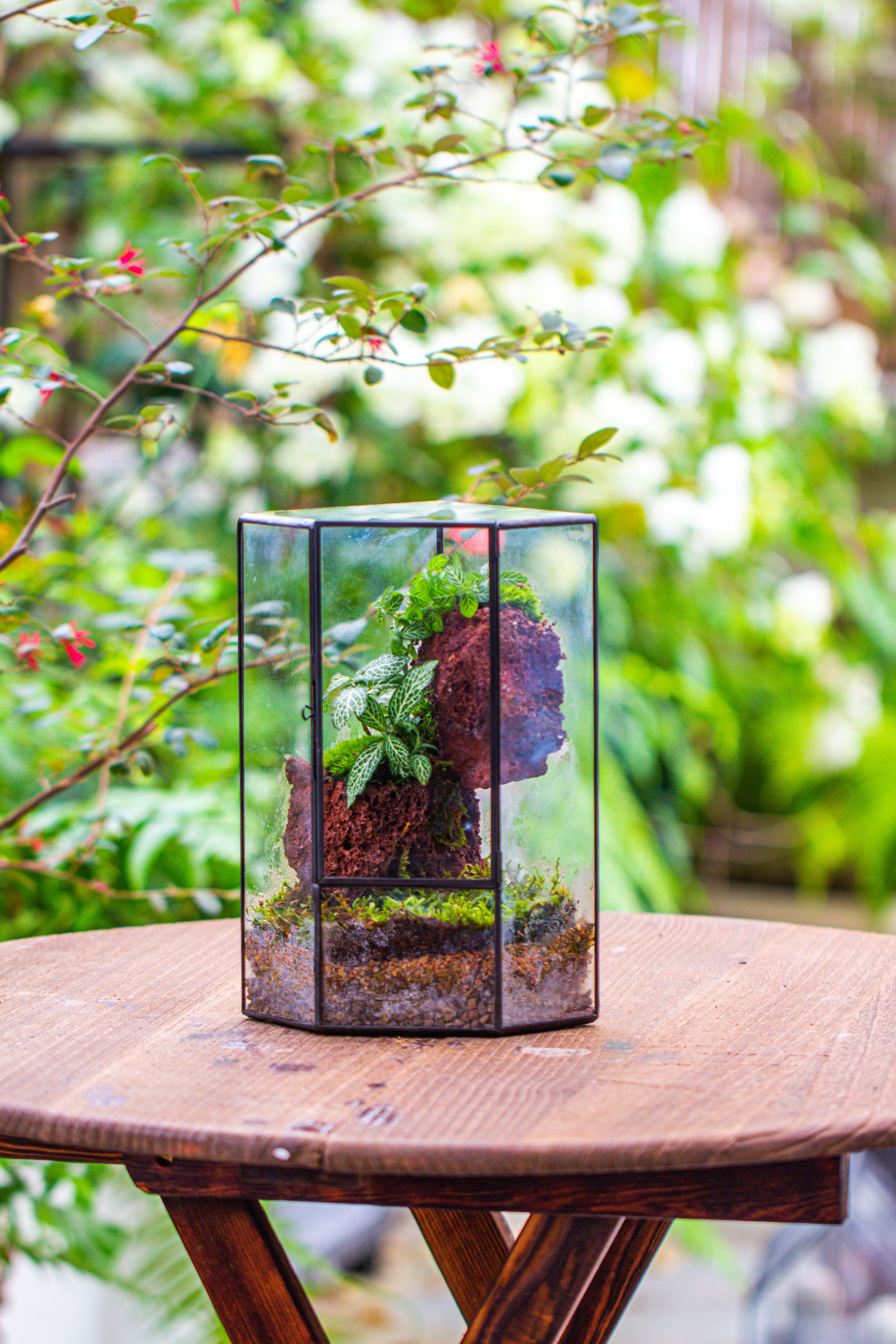Small Version Handmade Glass Terrarium with Door for Plant, Moss Wall, Closed Geometric Tin Pentagon Planter - NCYPgarden