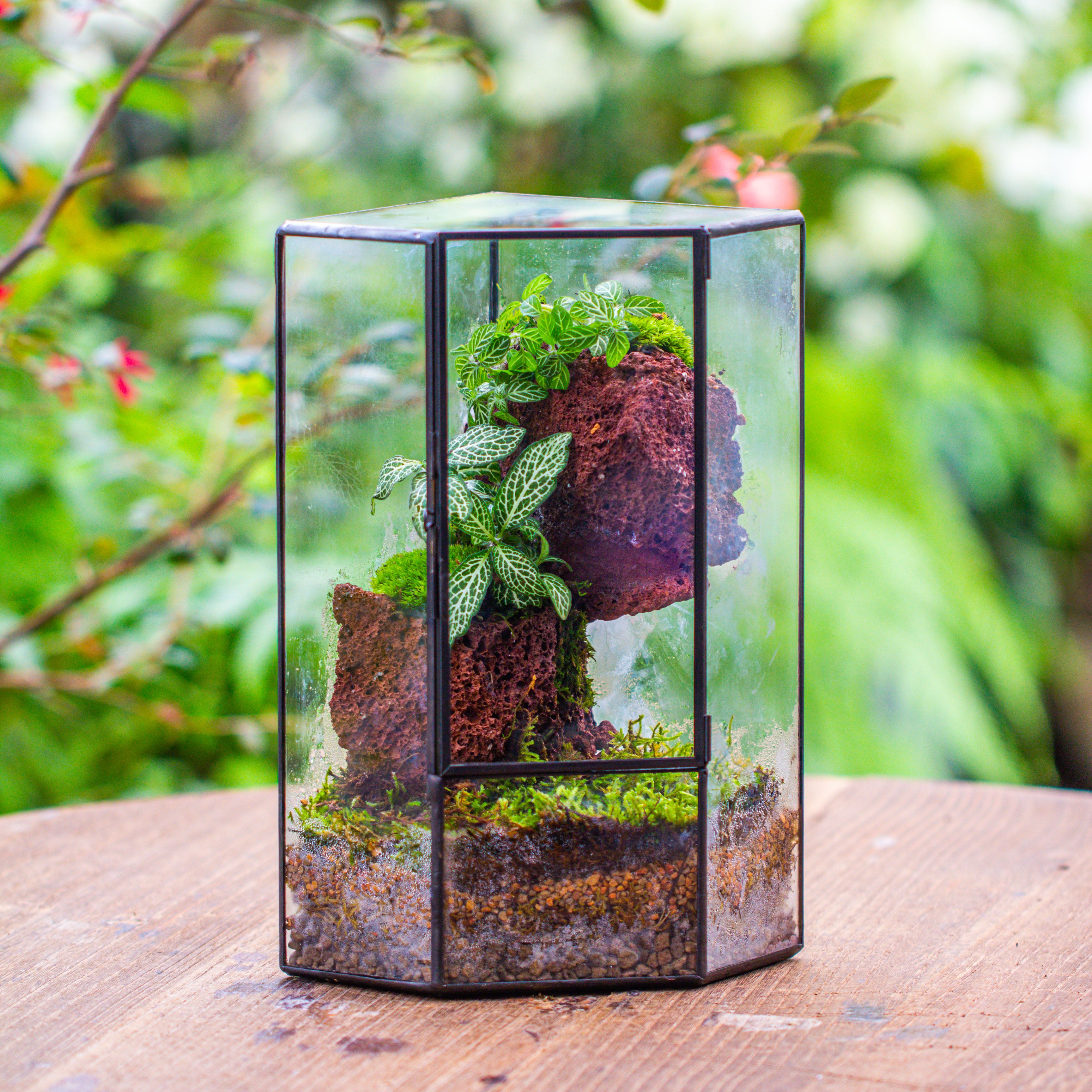 Small Version Handmade Glass Terrarium with Door for Plant, Moss Wall, Closed Geometric Tin Pentagon Planter - NCYPgarden