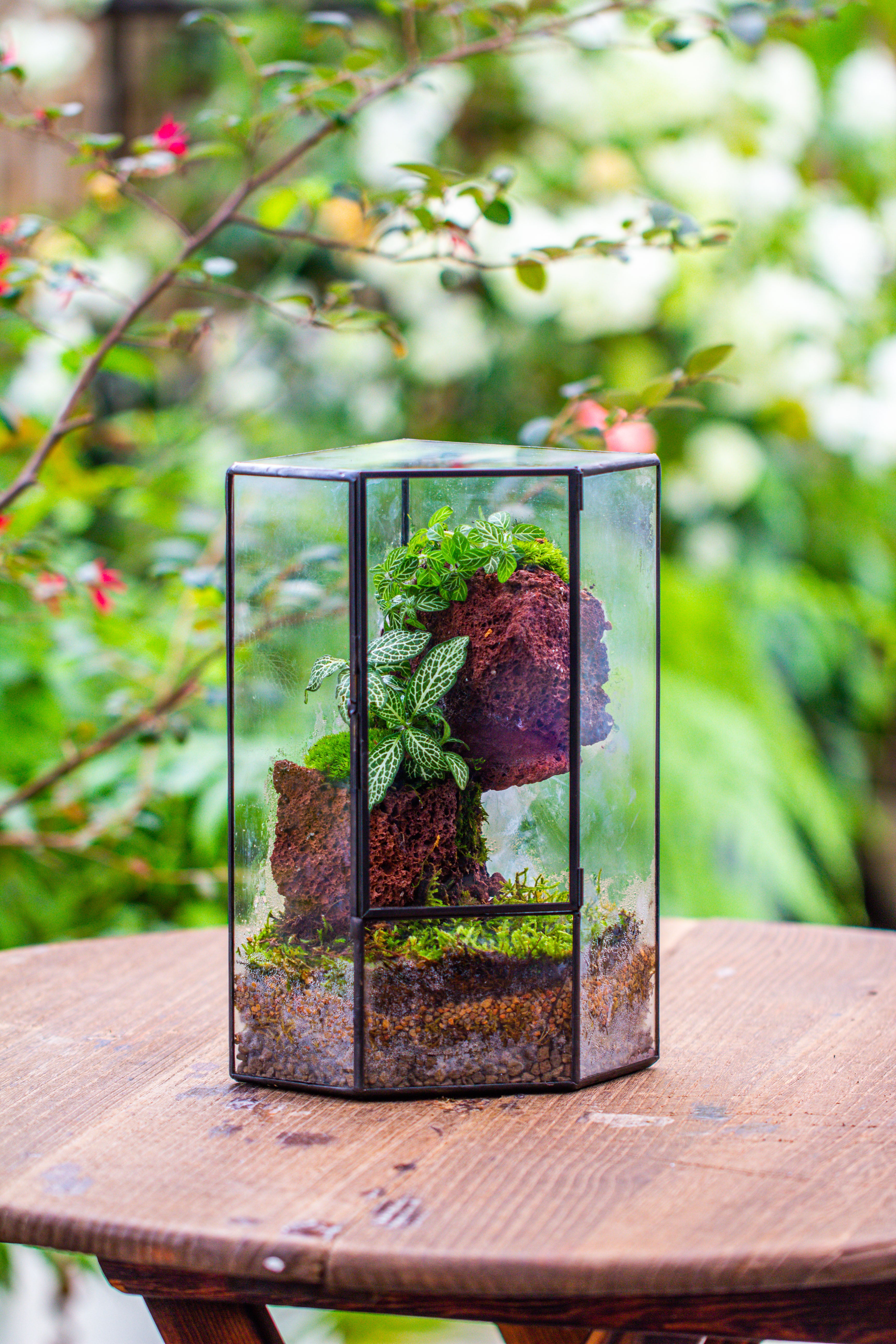 Small Version Handmade Glass Terrarium with Door for Plant, Moss Wall, Closed Geometric Tin Pentagon Planter - NCYPgarden