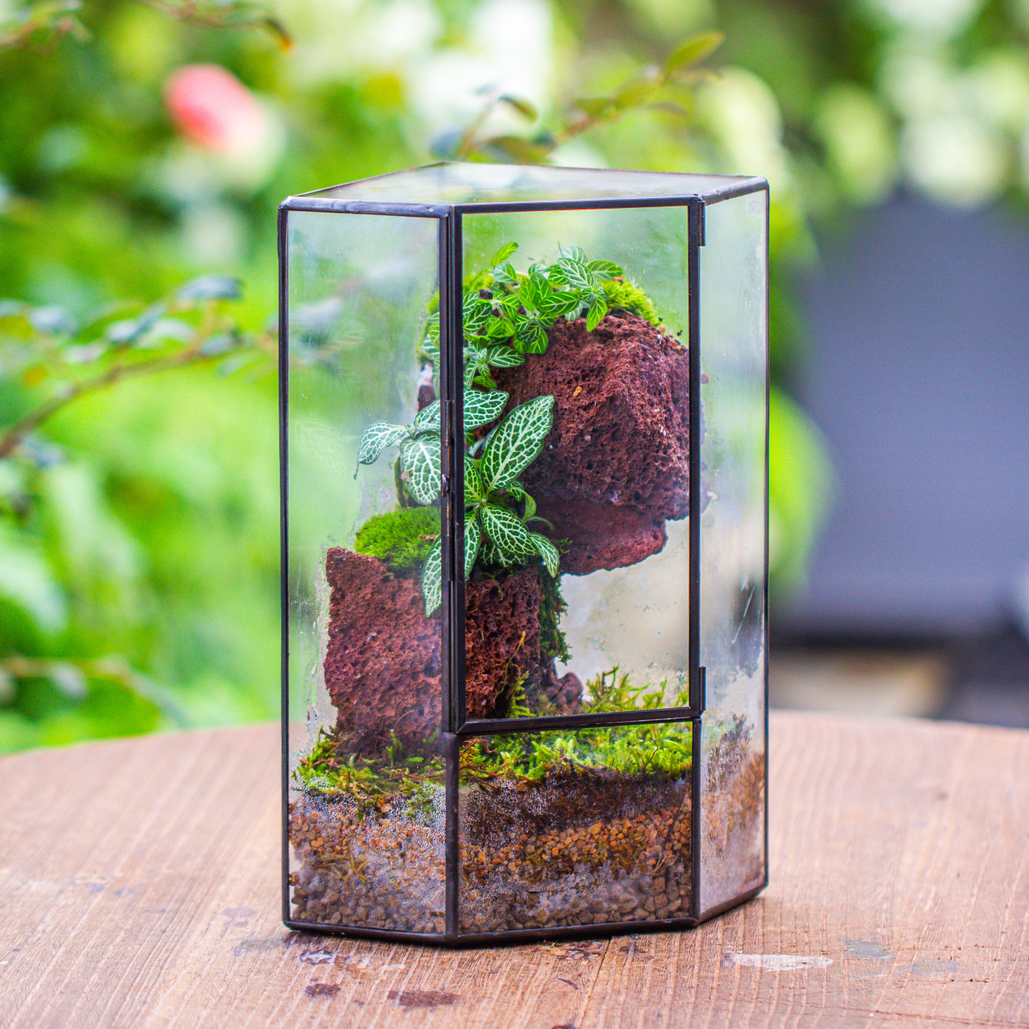 Small Version Handmade Glass Terrarium with Door for Plant, Moss Wall, Closed Geometric Tin Pentagon Planter - NCYPgarden