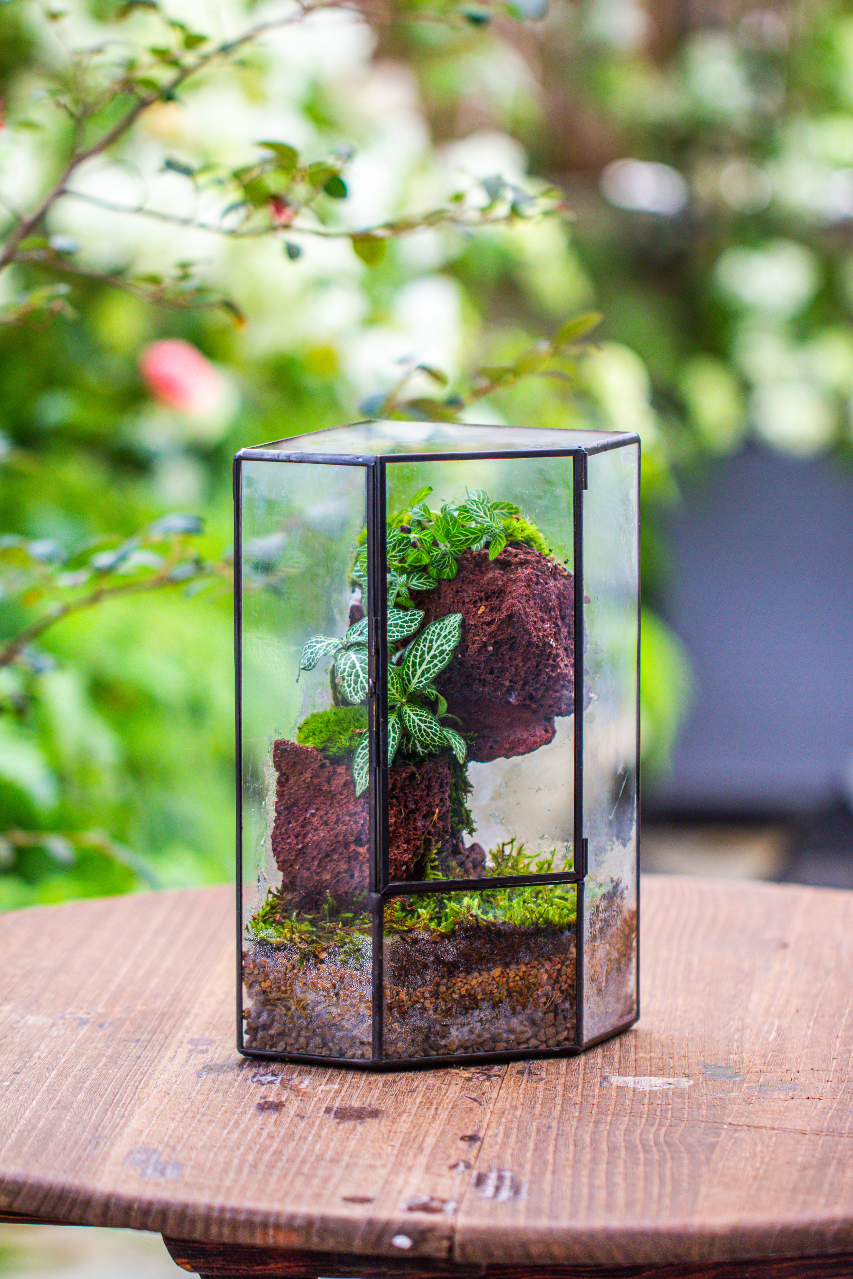 Small Version Handmade Glass Terrarium with Door for Plant, Moss Wall, Closed Geometric Tin Pentagon Planter - NCYPgarden