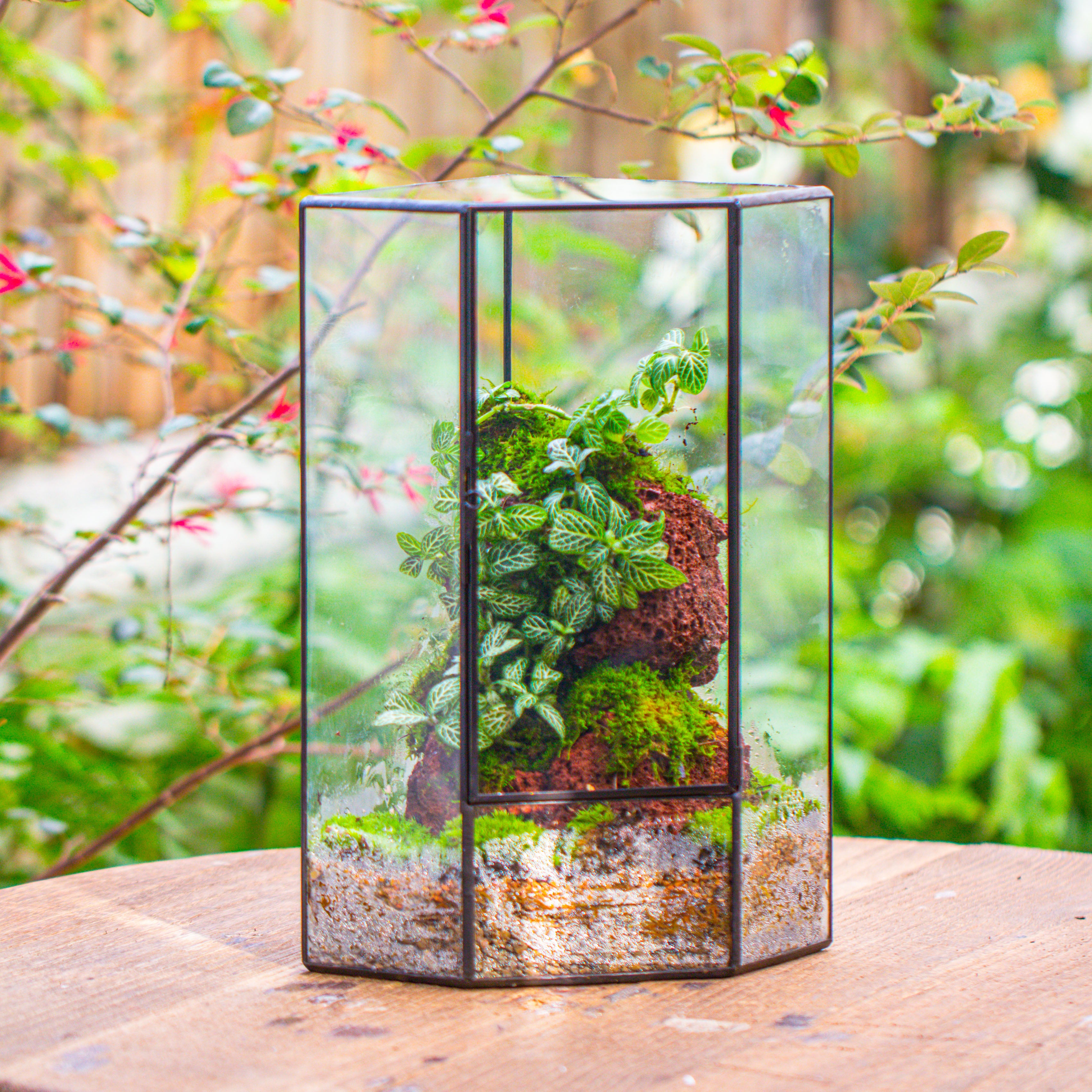 Handmade Close Geometric Tin Glass Corner Terrarium with Door, for Corner, Shelf - NCYPgarden