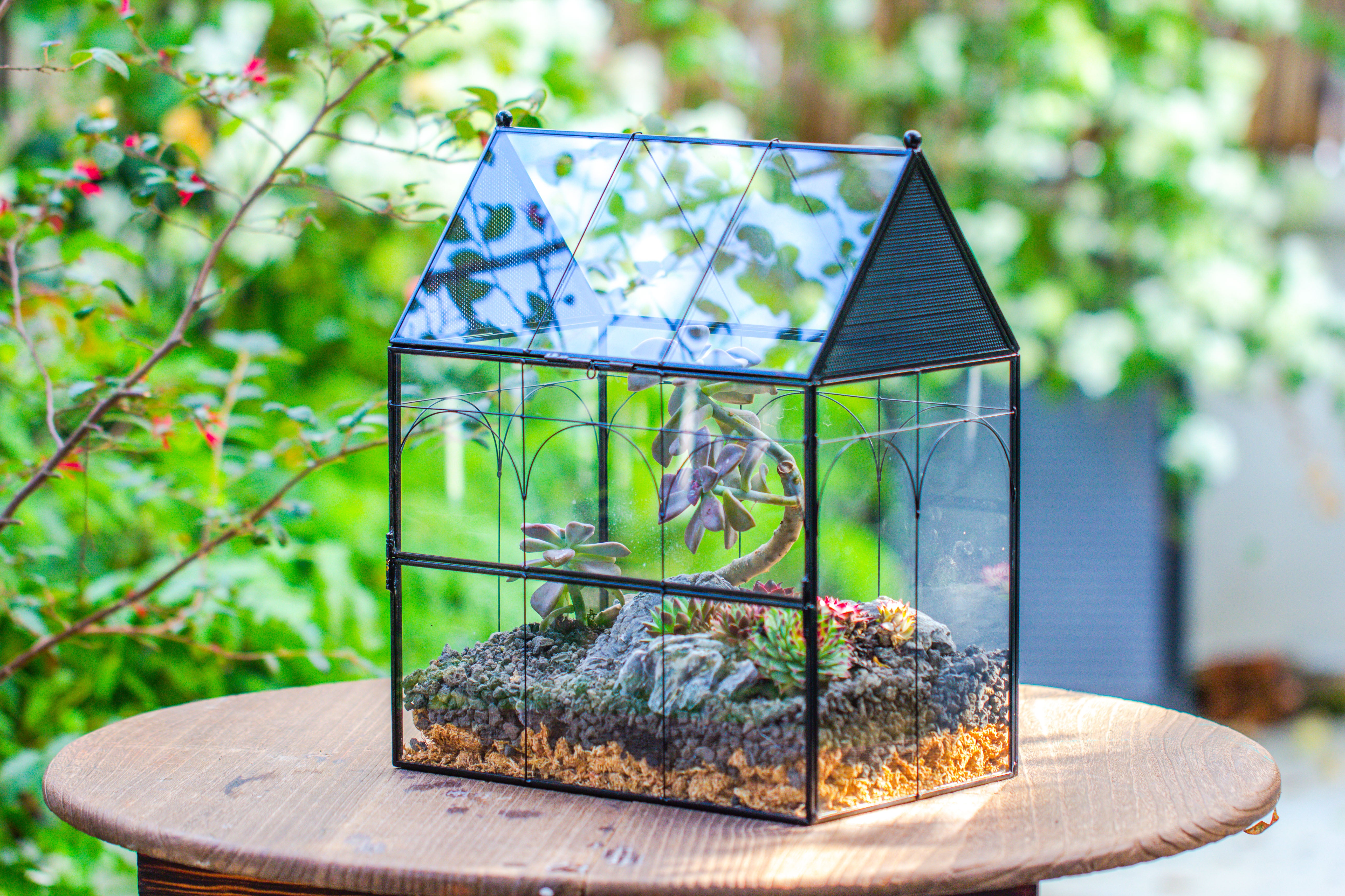 Large Vintage House Shape Insect Terrarium with Vent for Tarantulas, Mantis, Stick Insects -13" - NCYPgarden
